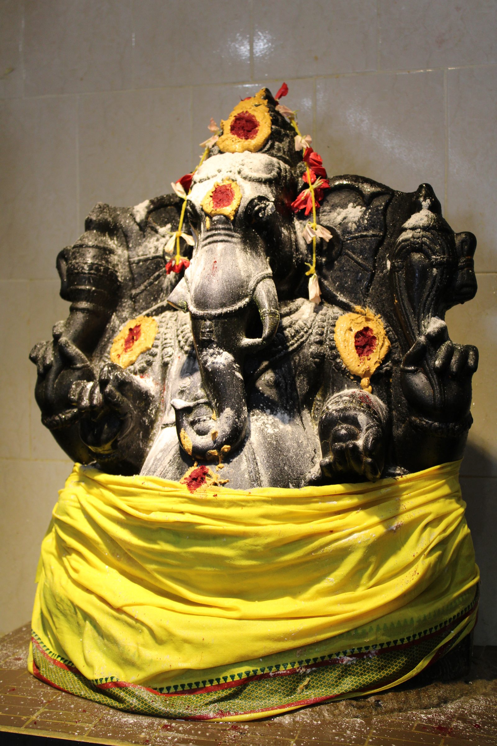 Festival 2024 photo
