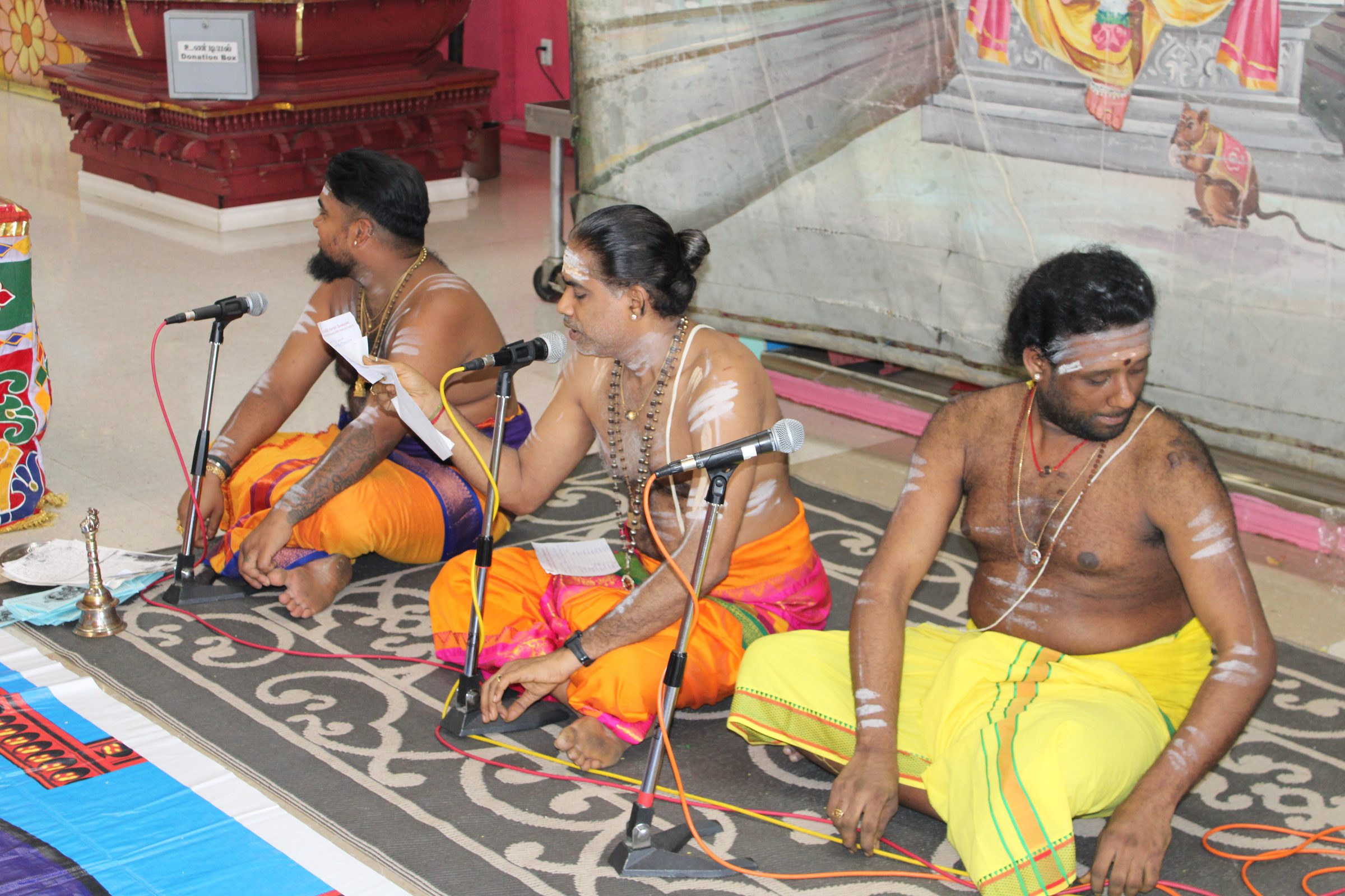 Festival 2024 photo
