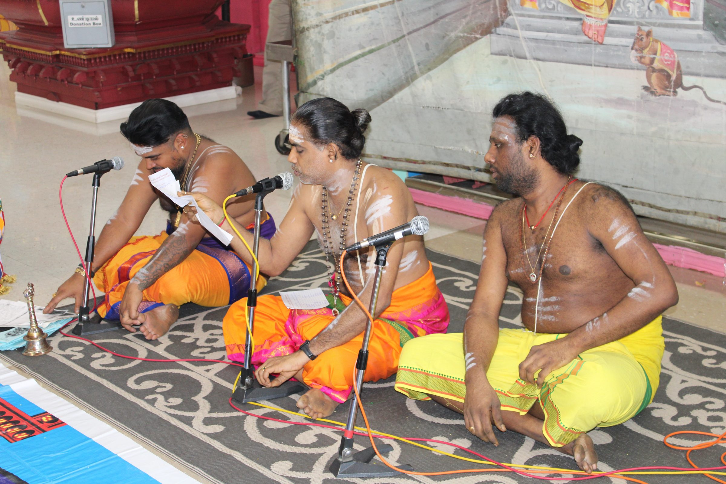 Festival 2024 photo