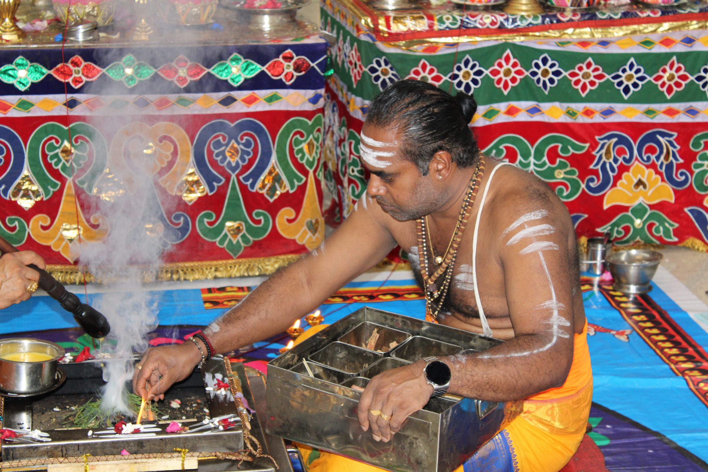Festival 2024 photo