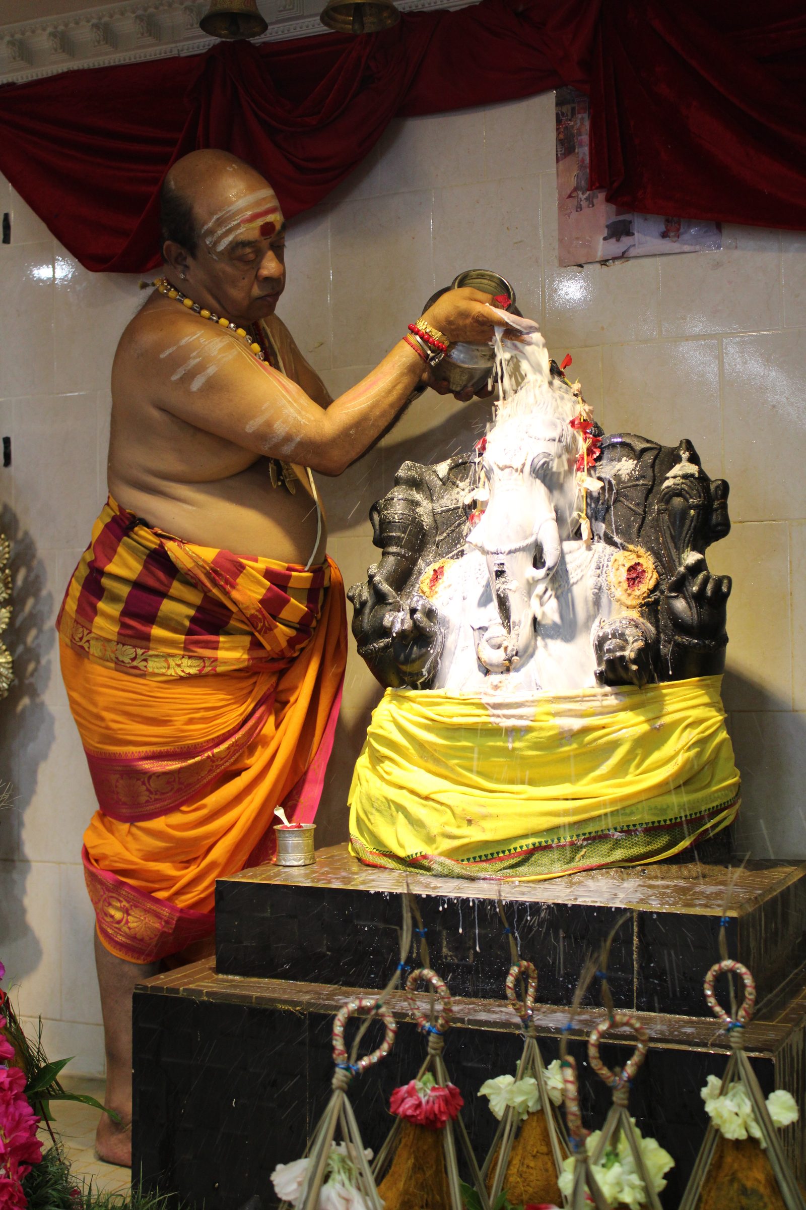 Festival 2024 photo