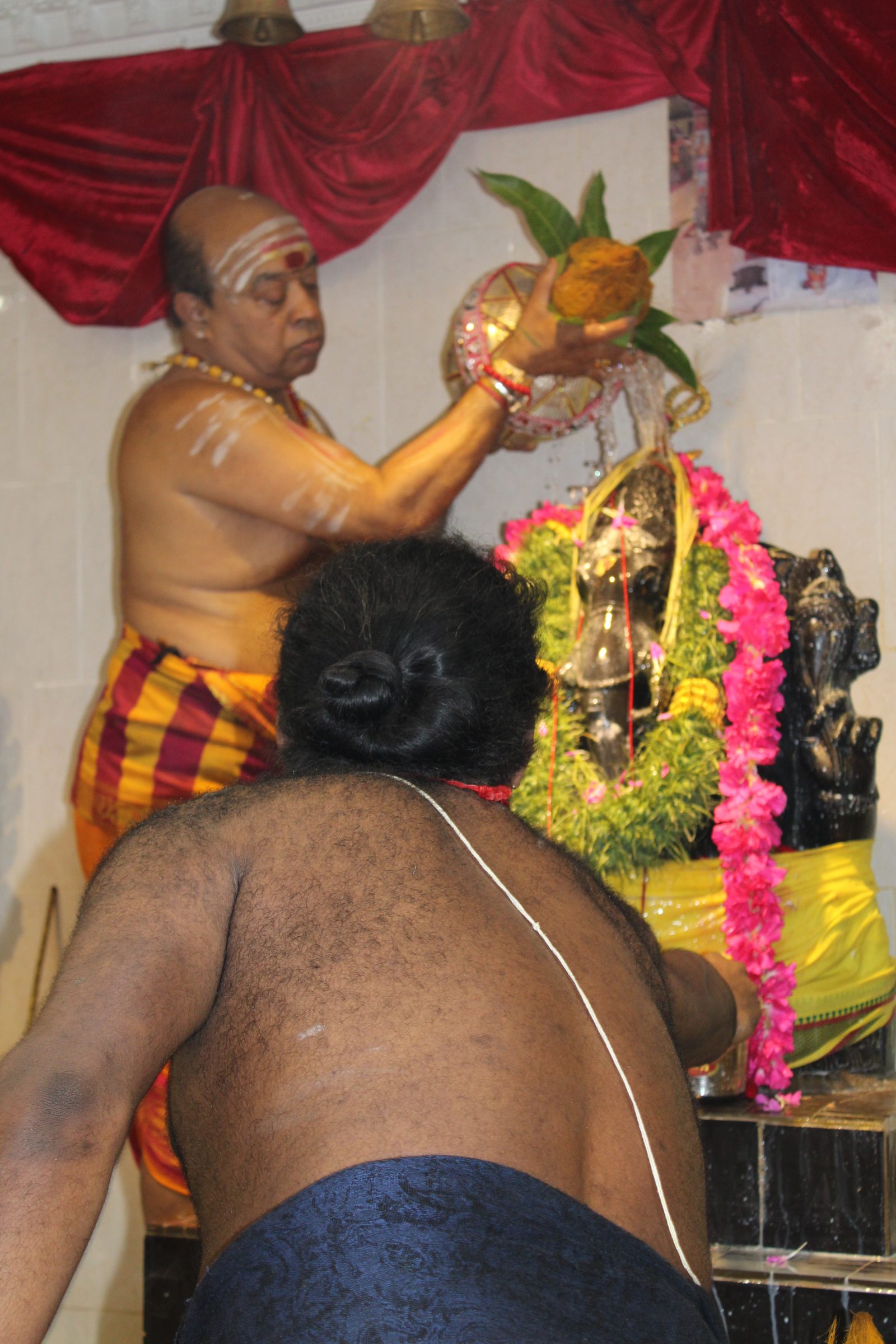 Festival 2024 photo