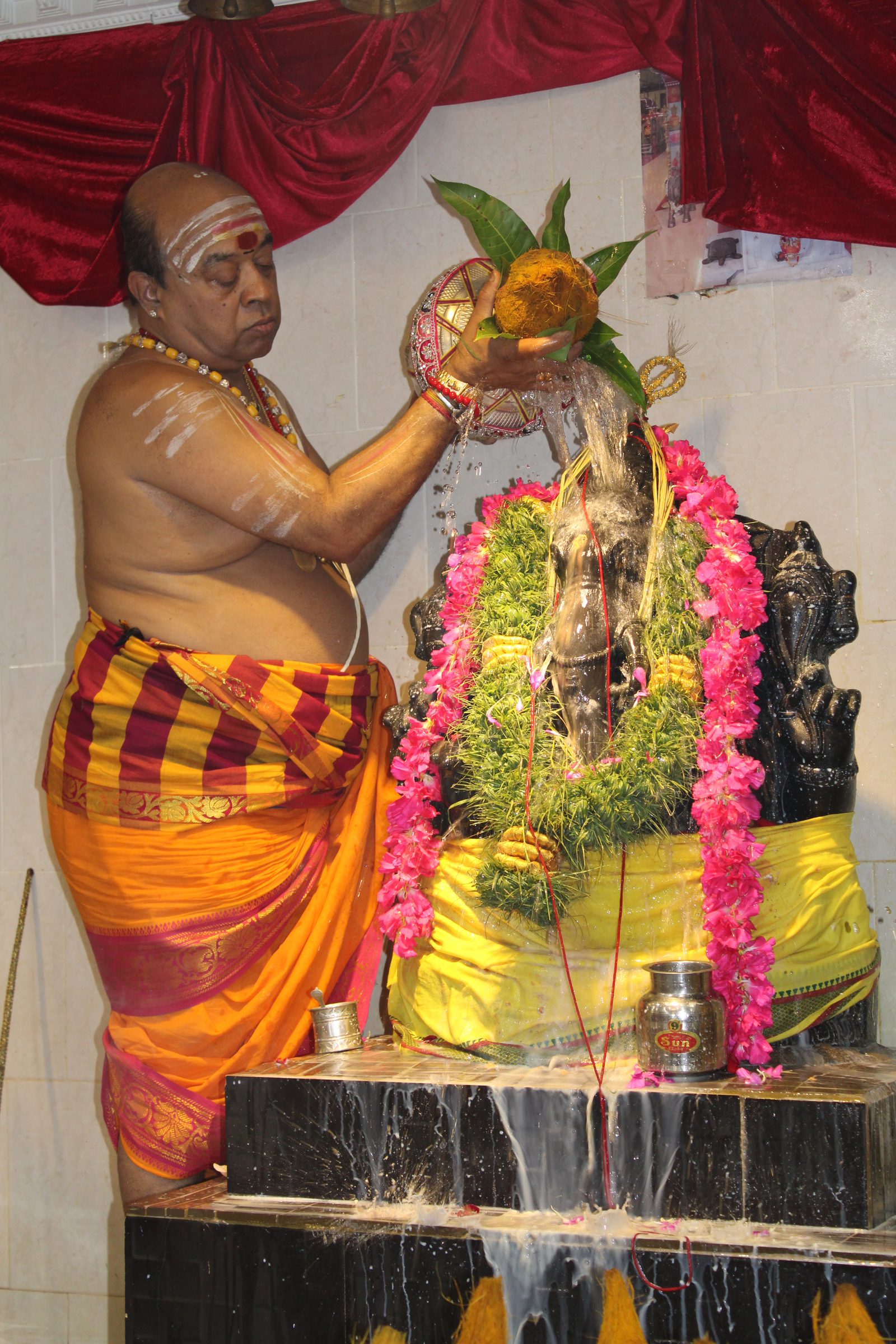 Festival 2024 photo