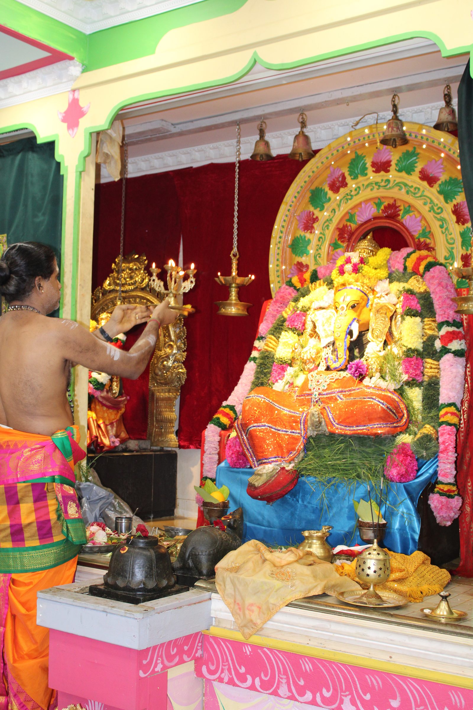 Festival 2024 photo