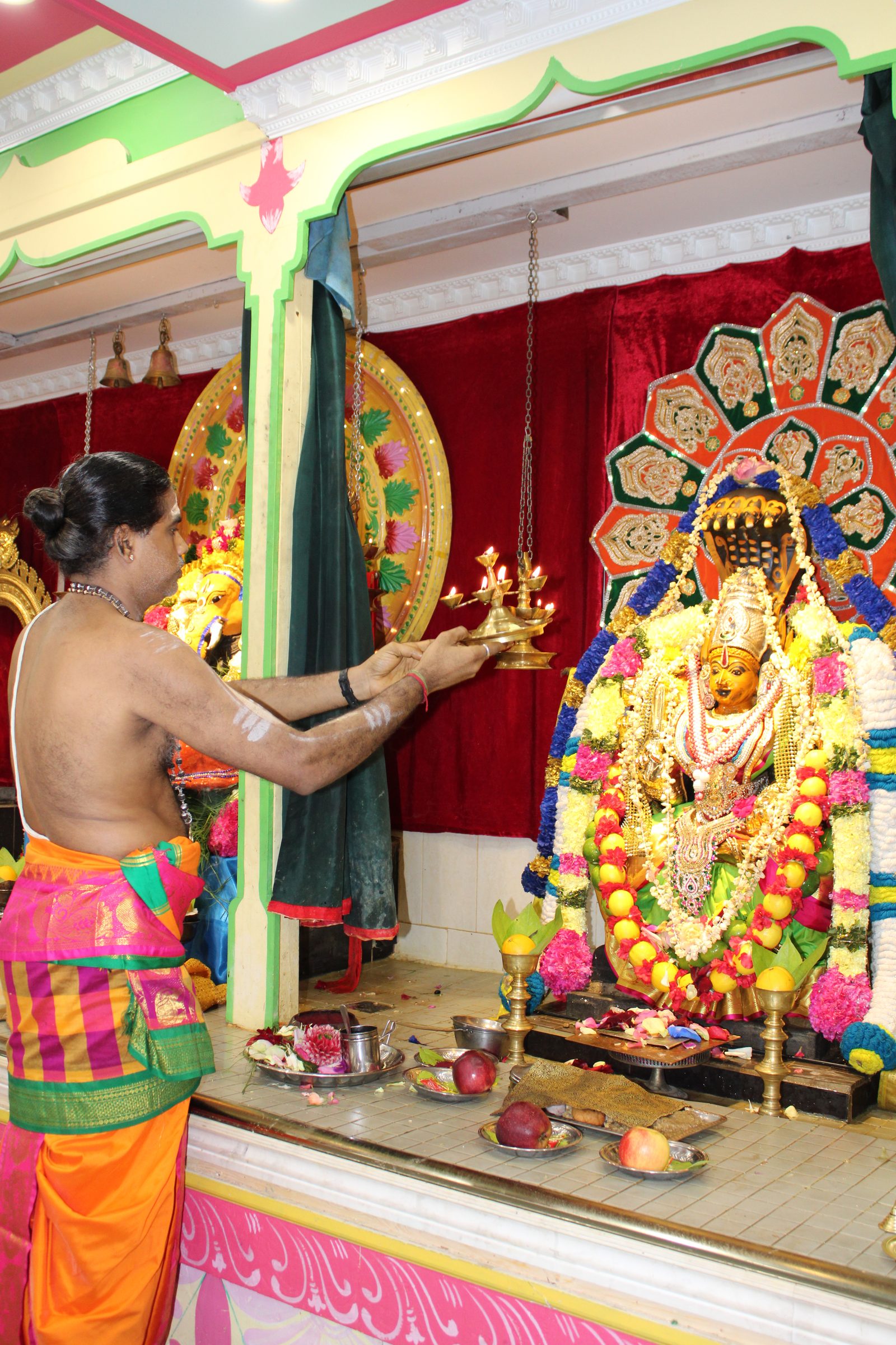 Festival 2024 photo