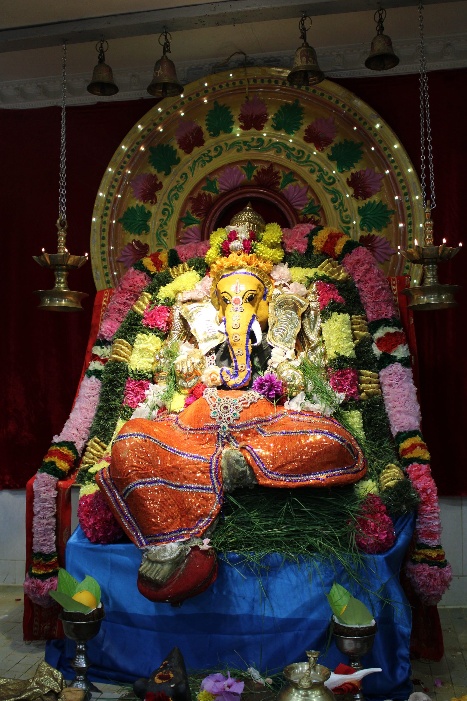 Festival 2024 photo