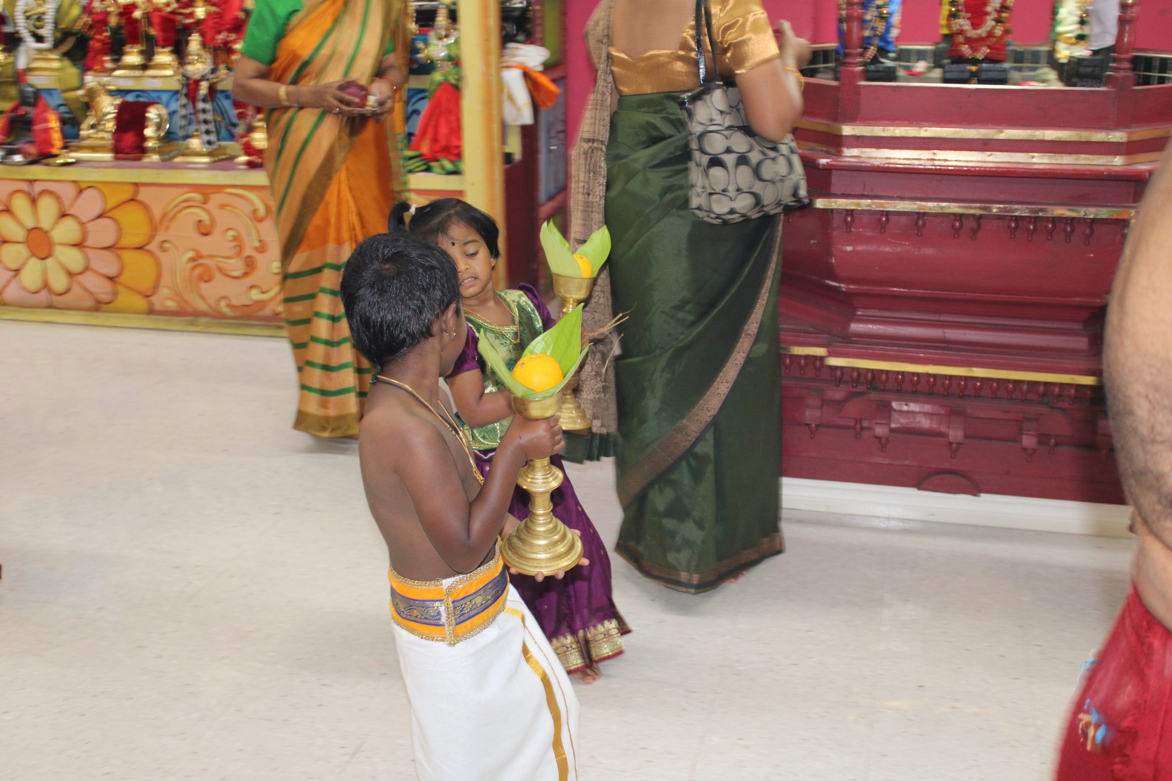 Festival 2024 photo