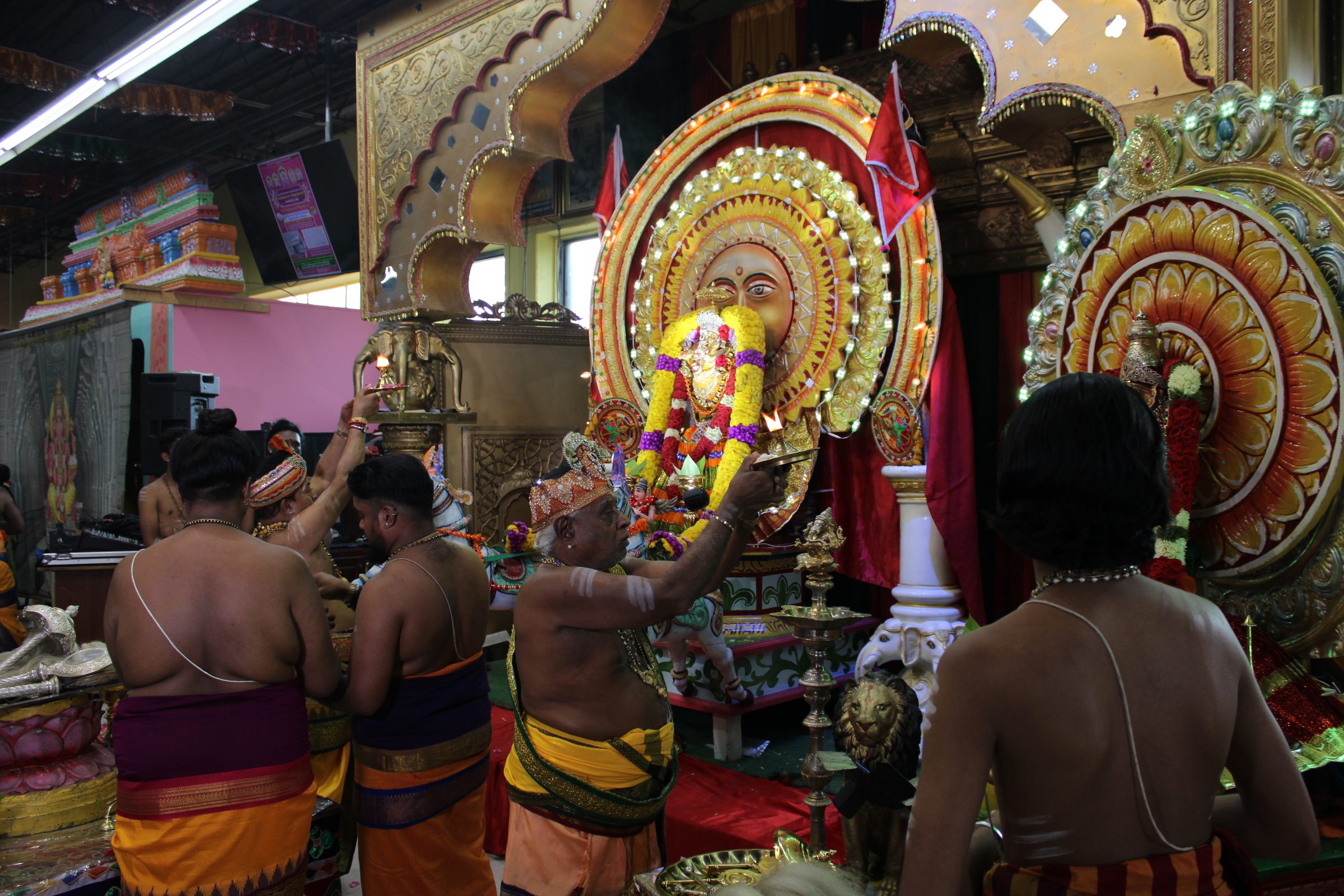 Festival 2024 photo