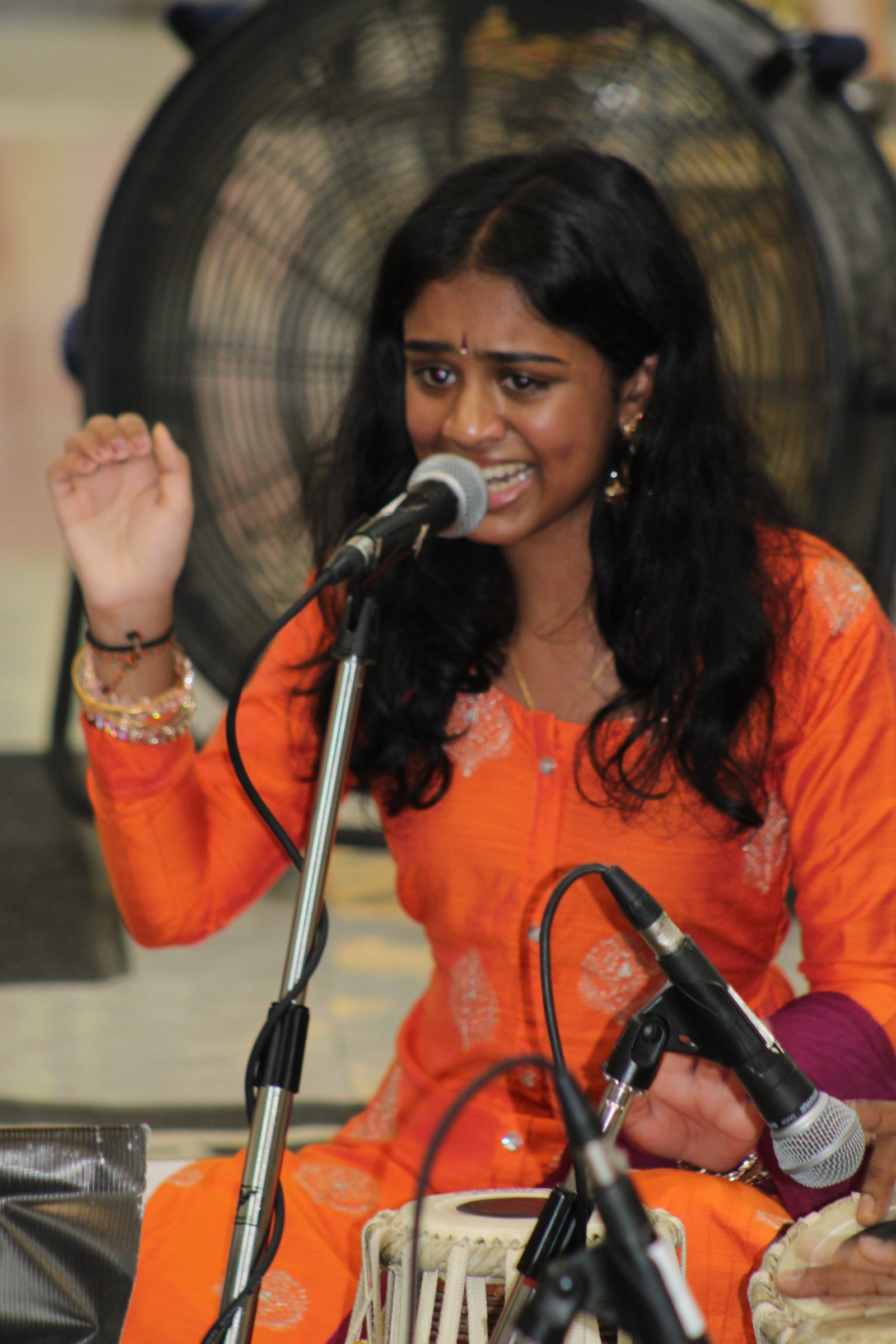 Festival 2024 photo