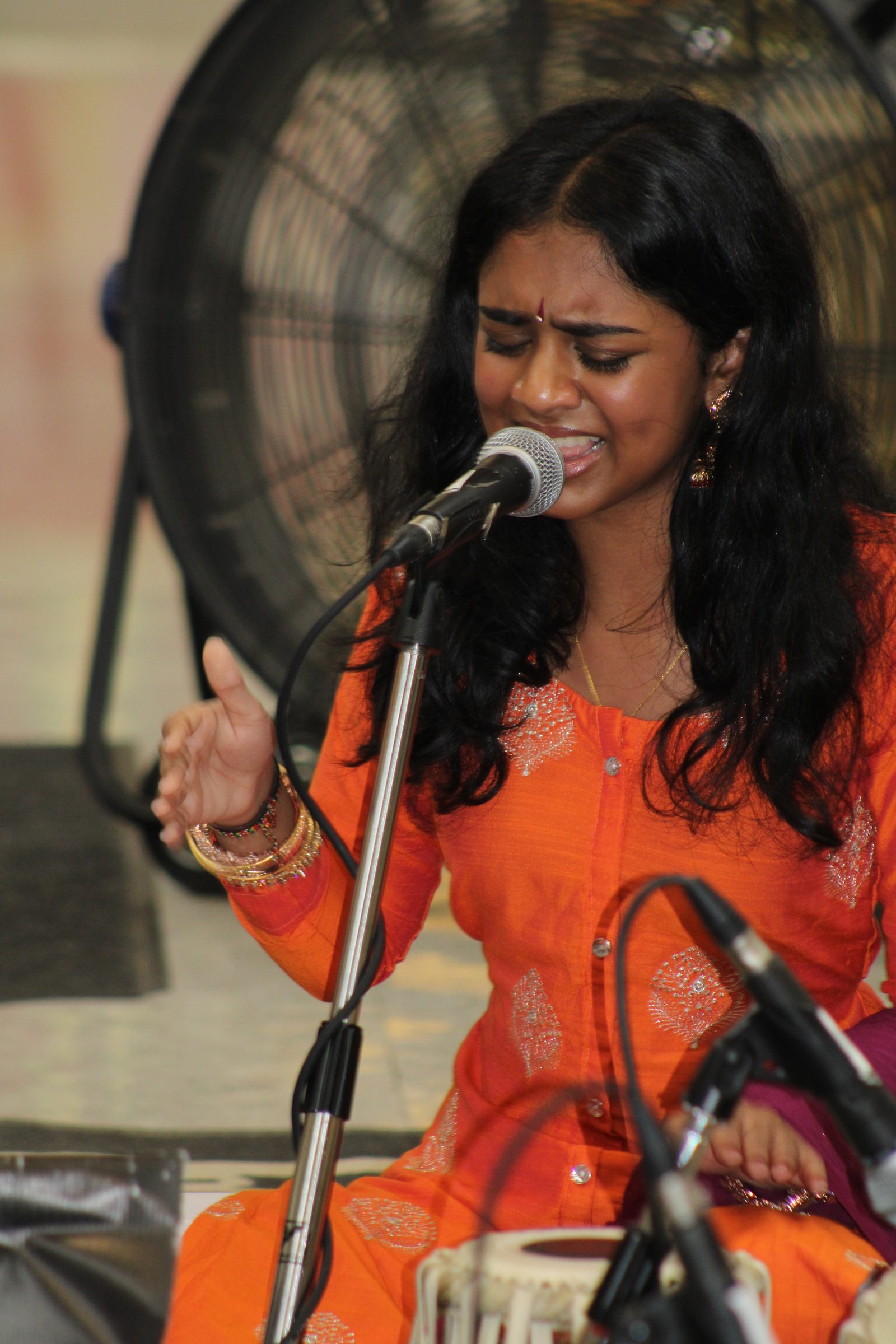 Festival 2024 photo