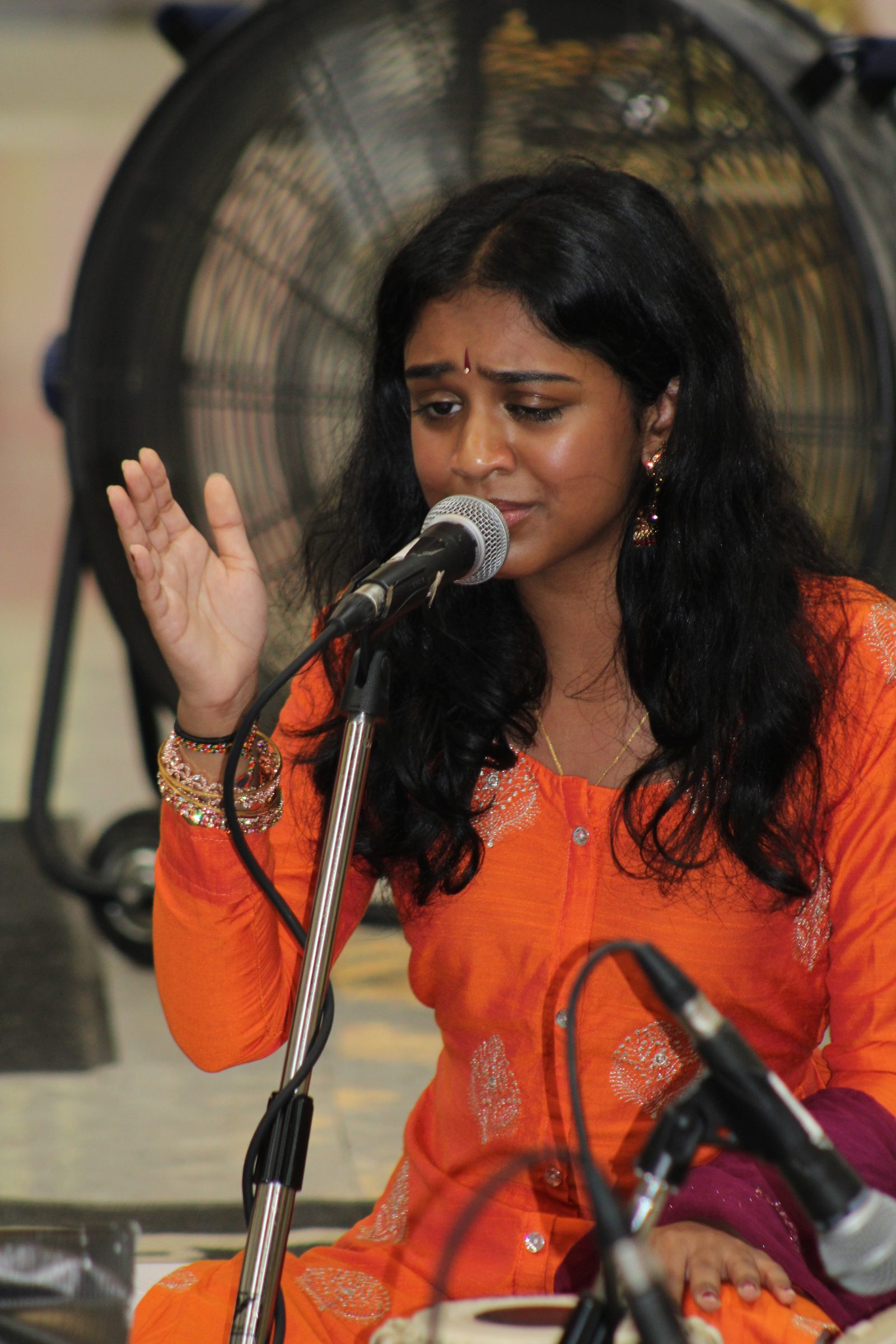 Festival 2024 photo