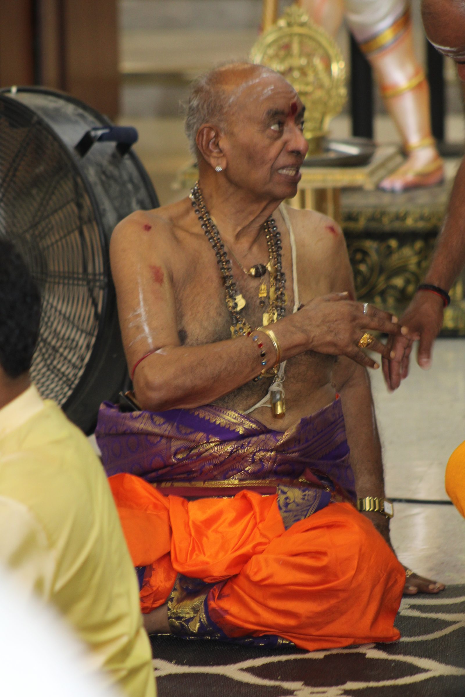 Festival 2024 photo