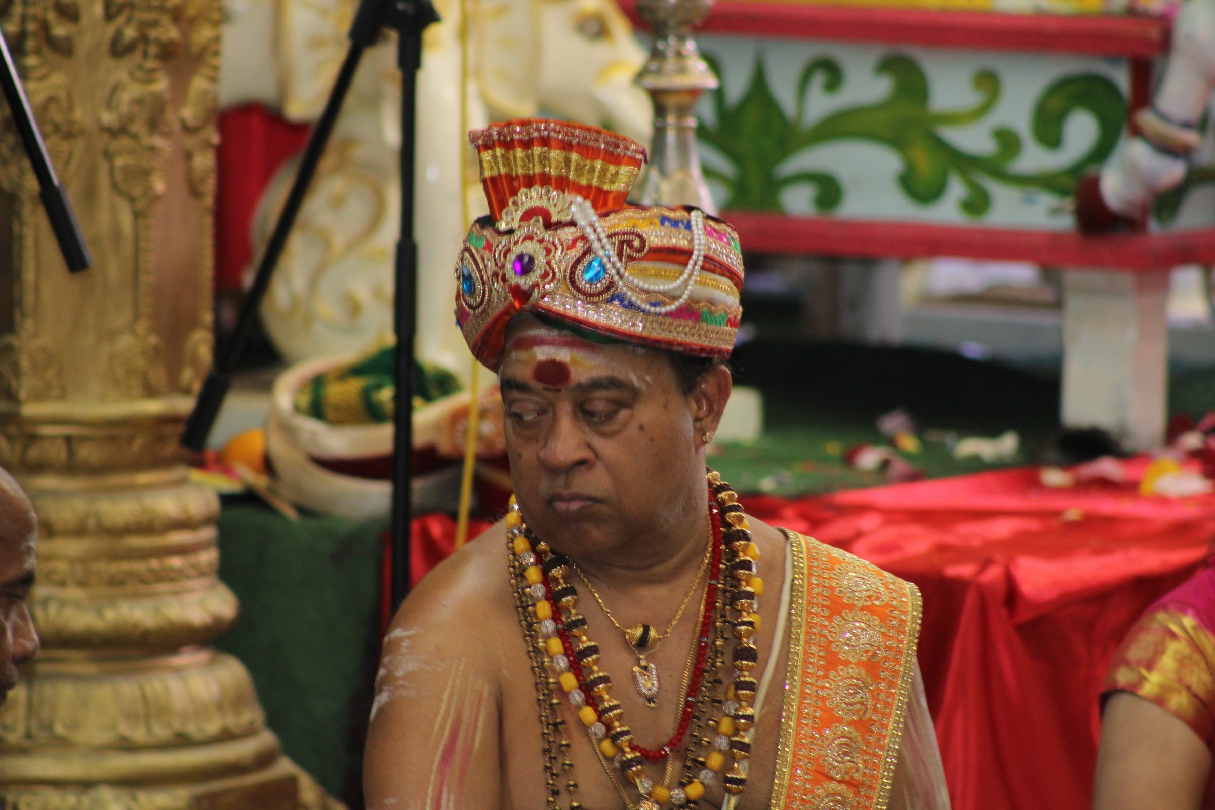 Festival 2024 photo