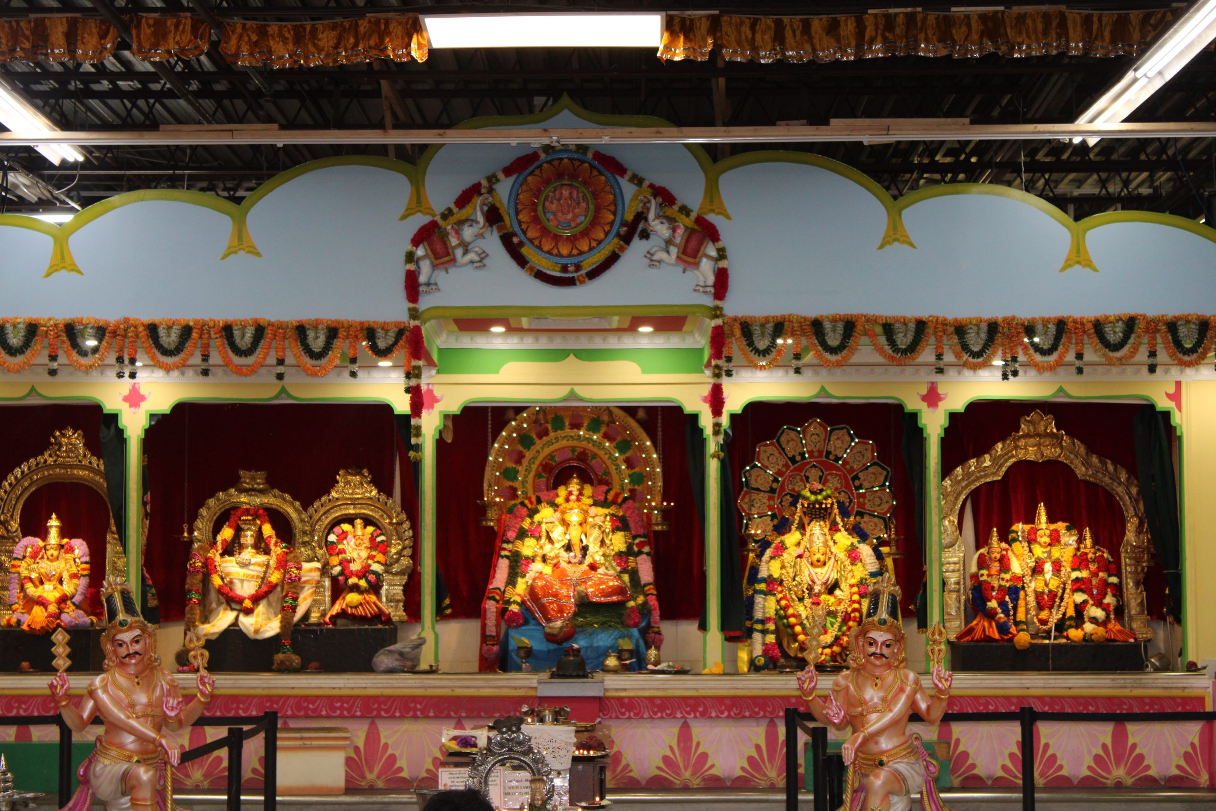 Festival 2024 photo