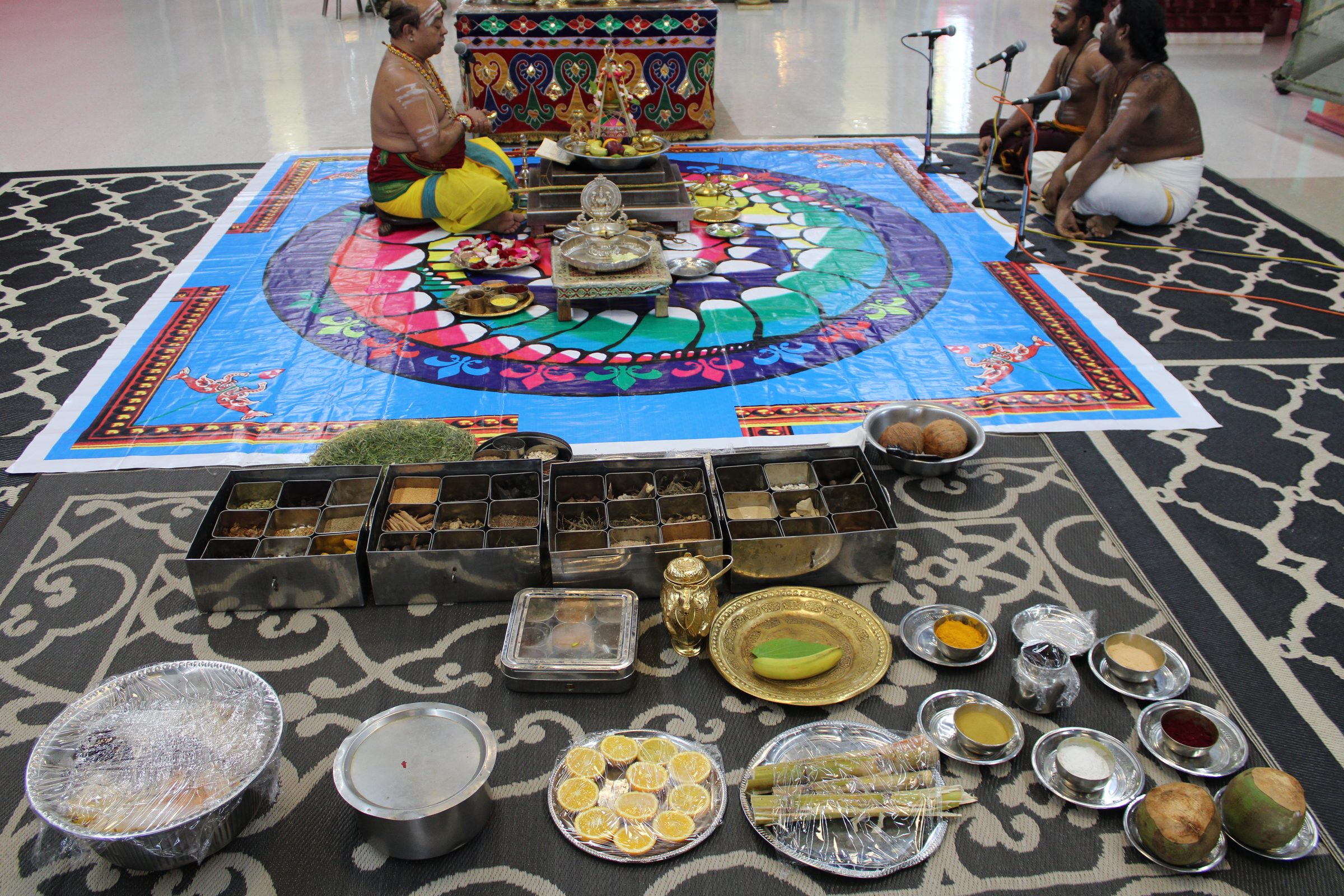 Festival 2024 photo