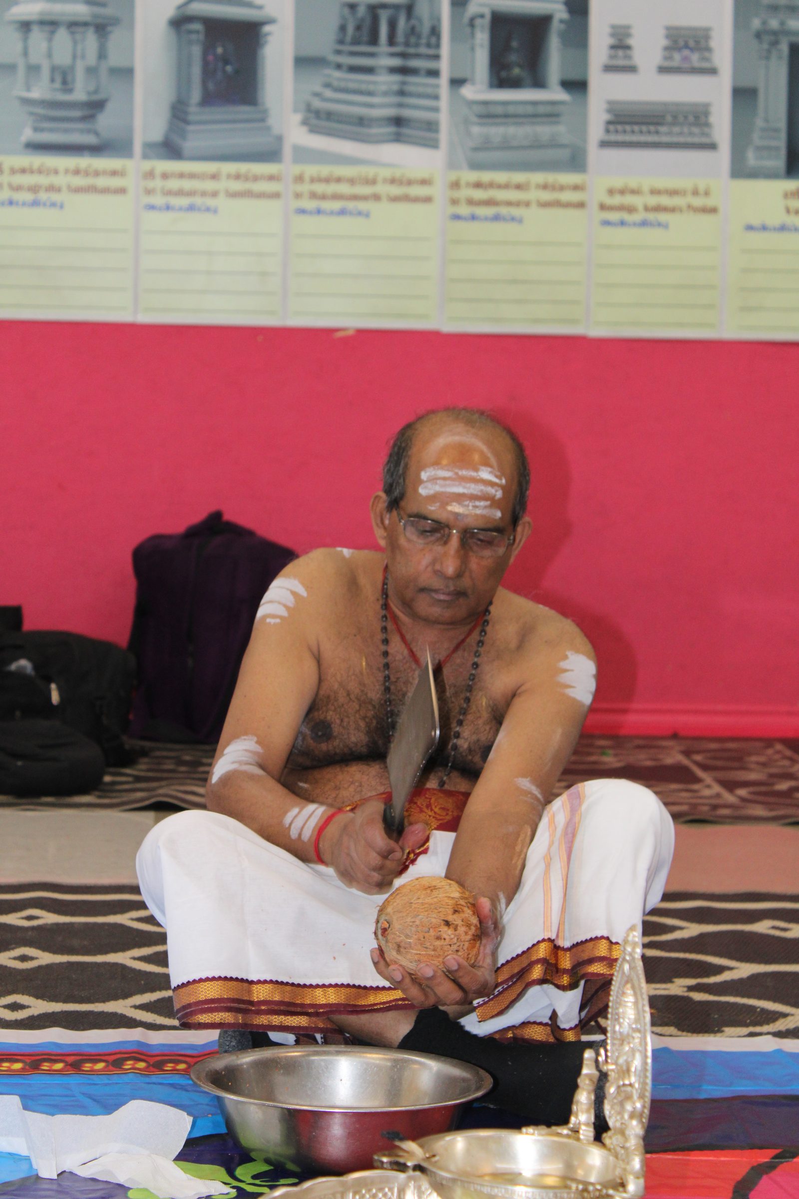 Festival 2024 photo