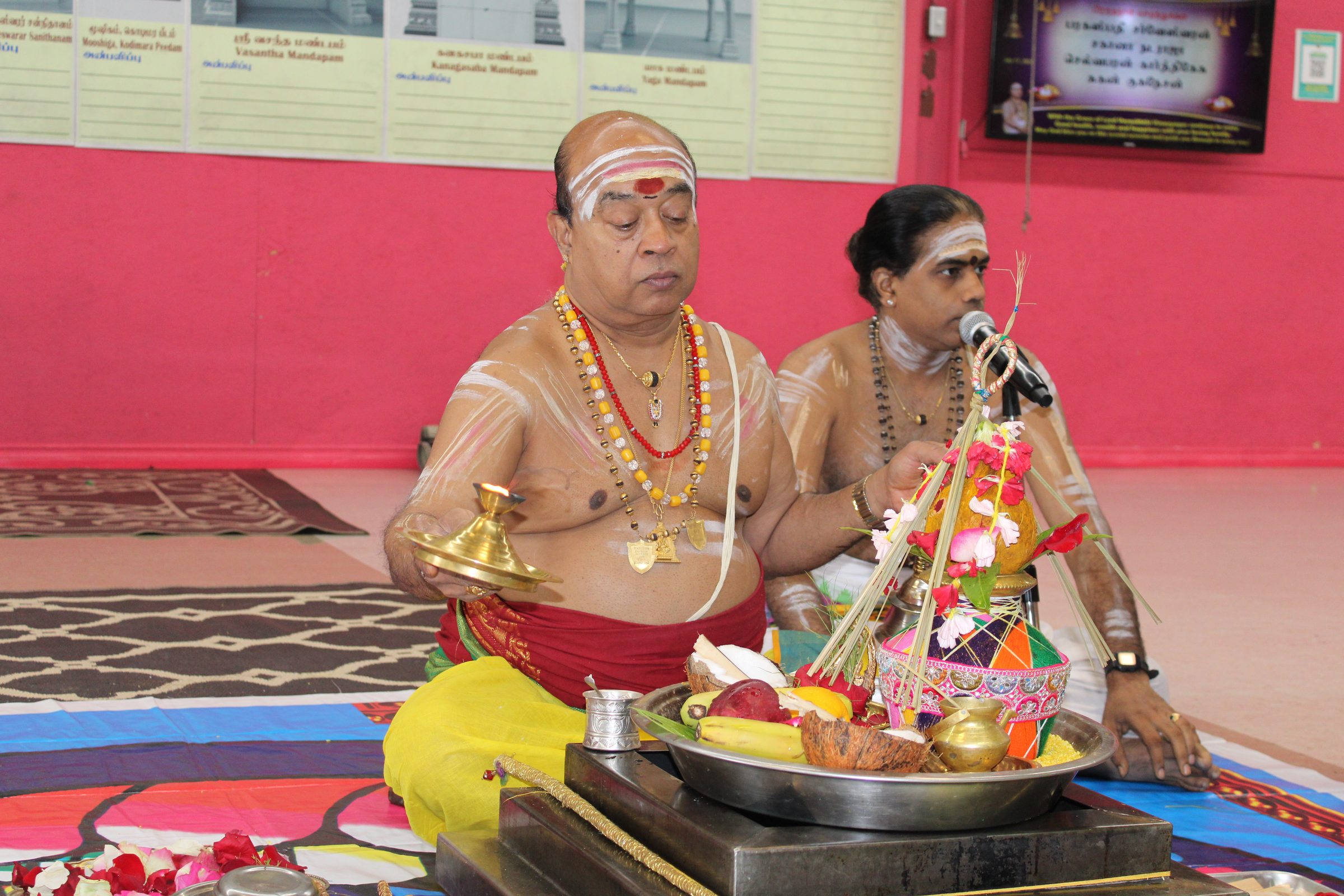 Festival 2024 photo