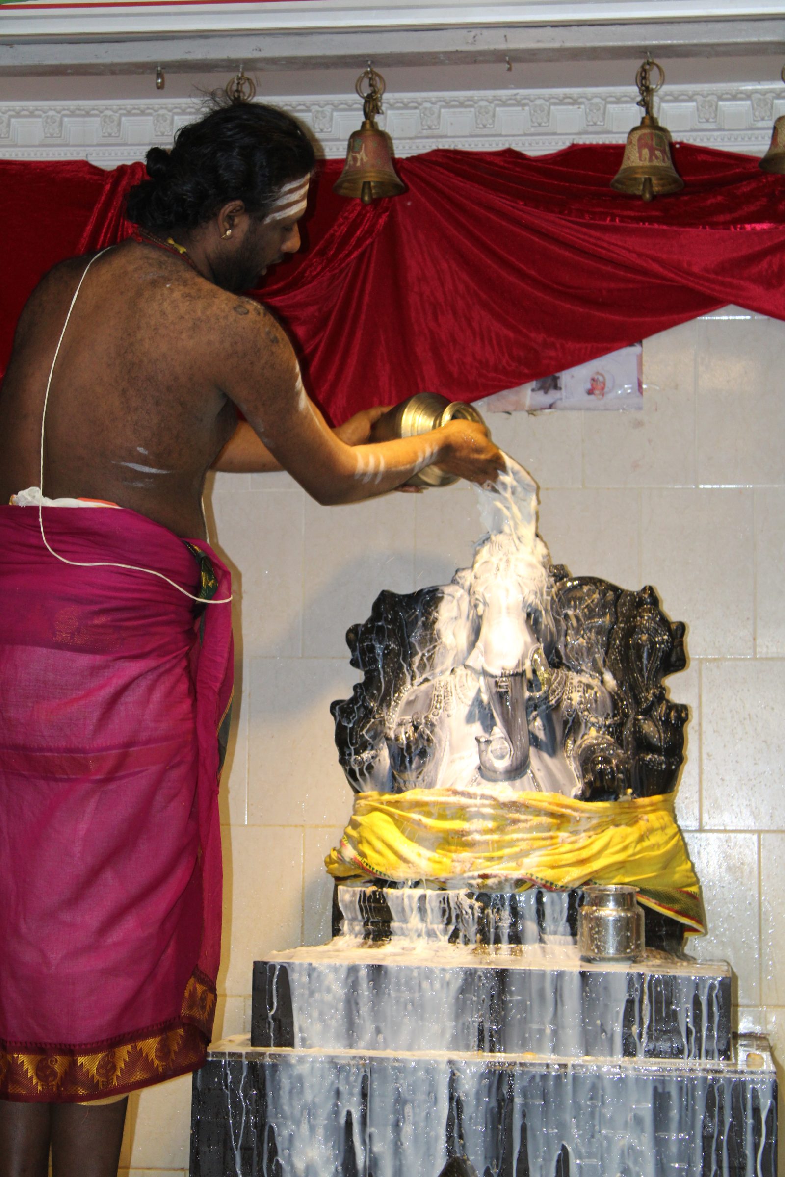 Festival 2024 photo