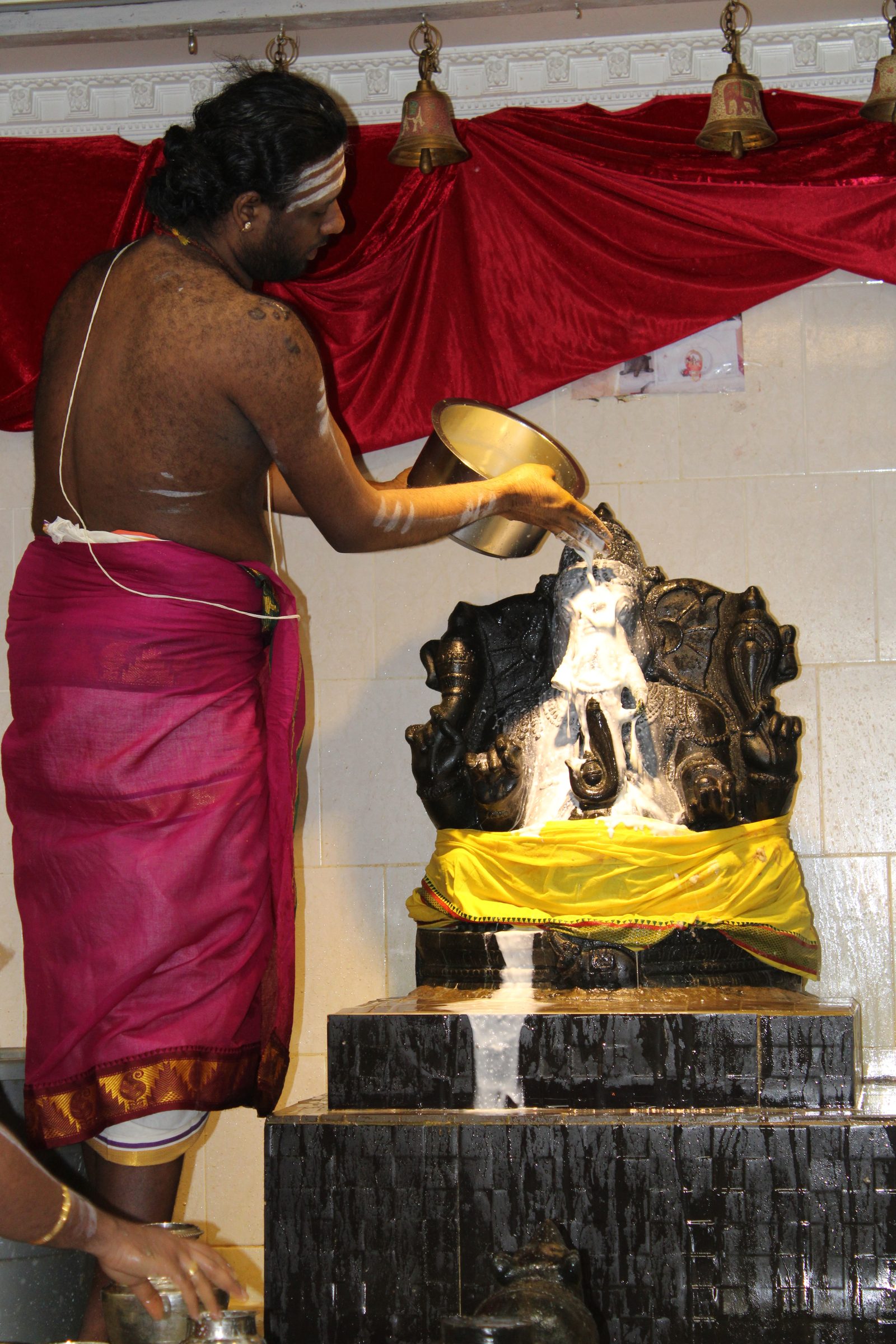 Festival 2024 photo