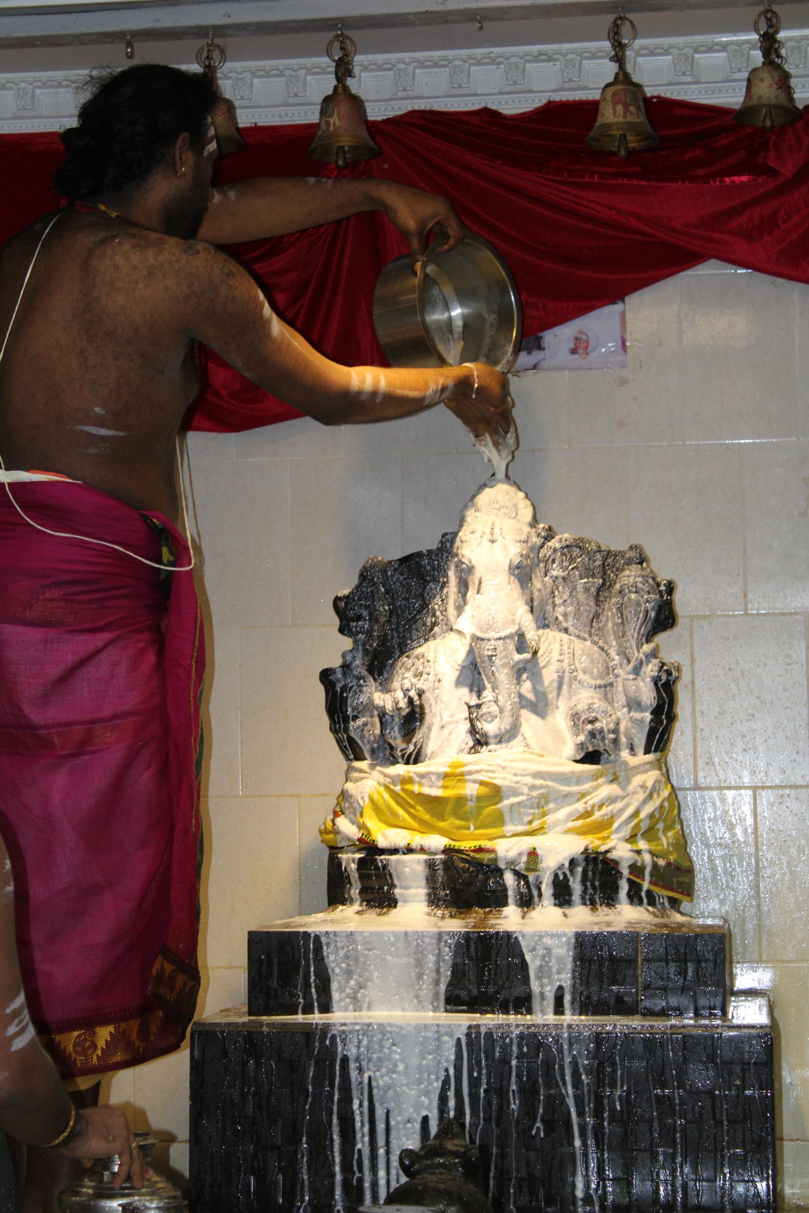 Festival 2024 photo