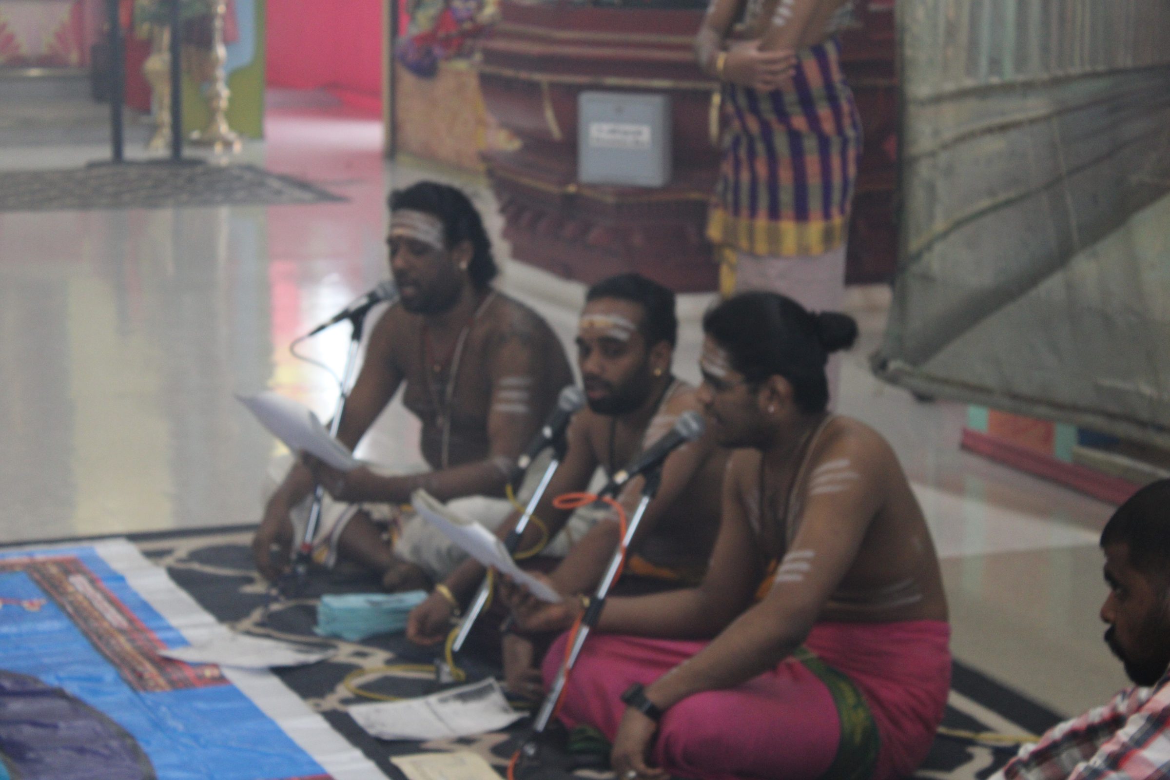 Festival 2024 photo
