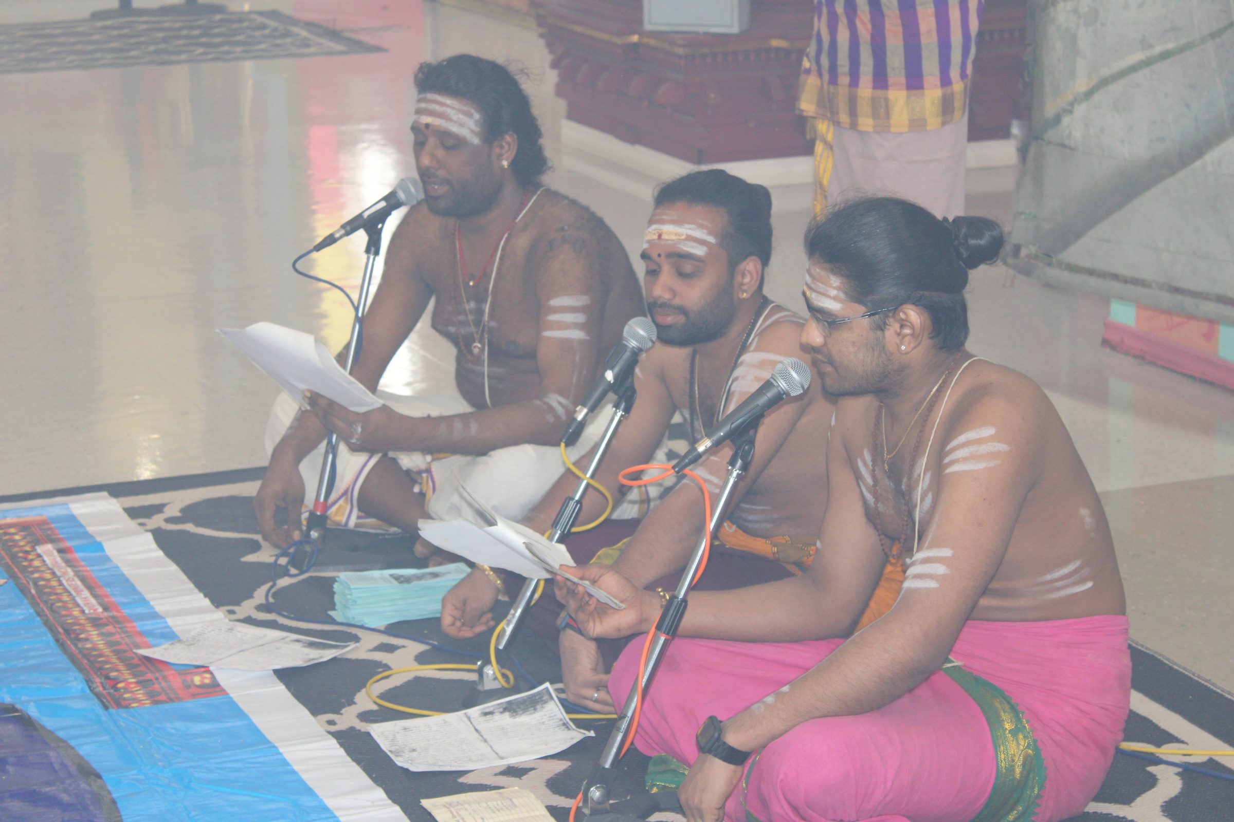 Festival 2024 photo