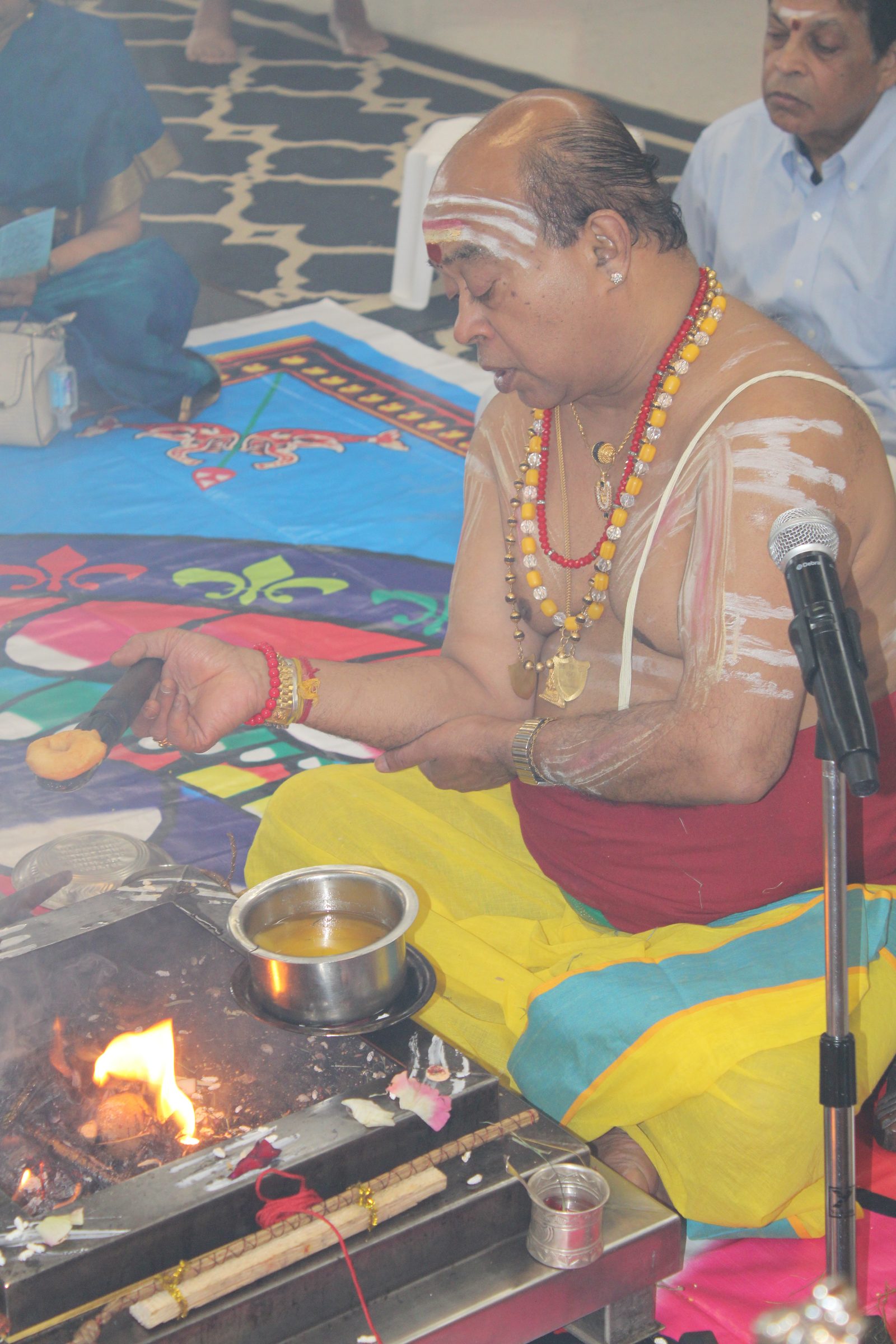 Festival 2024 photo