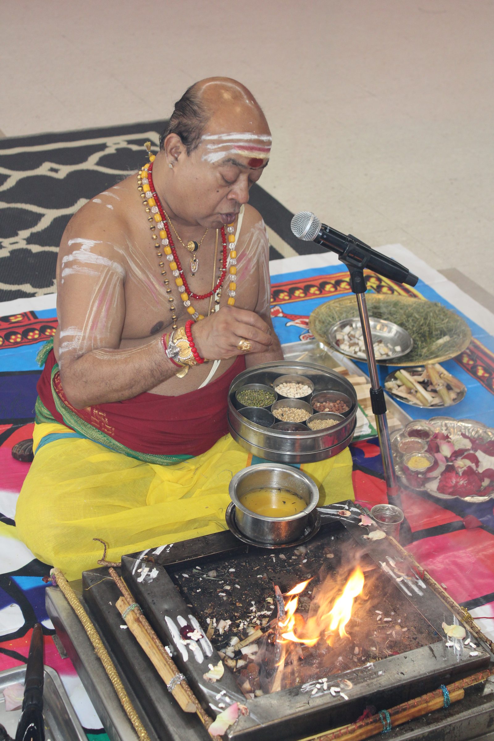 Festival 2024 photo