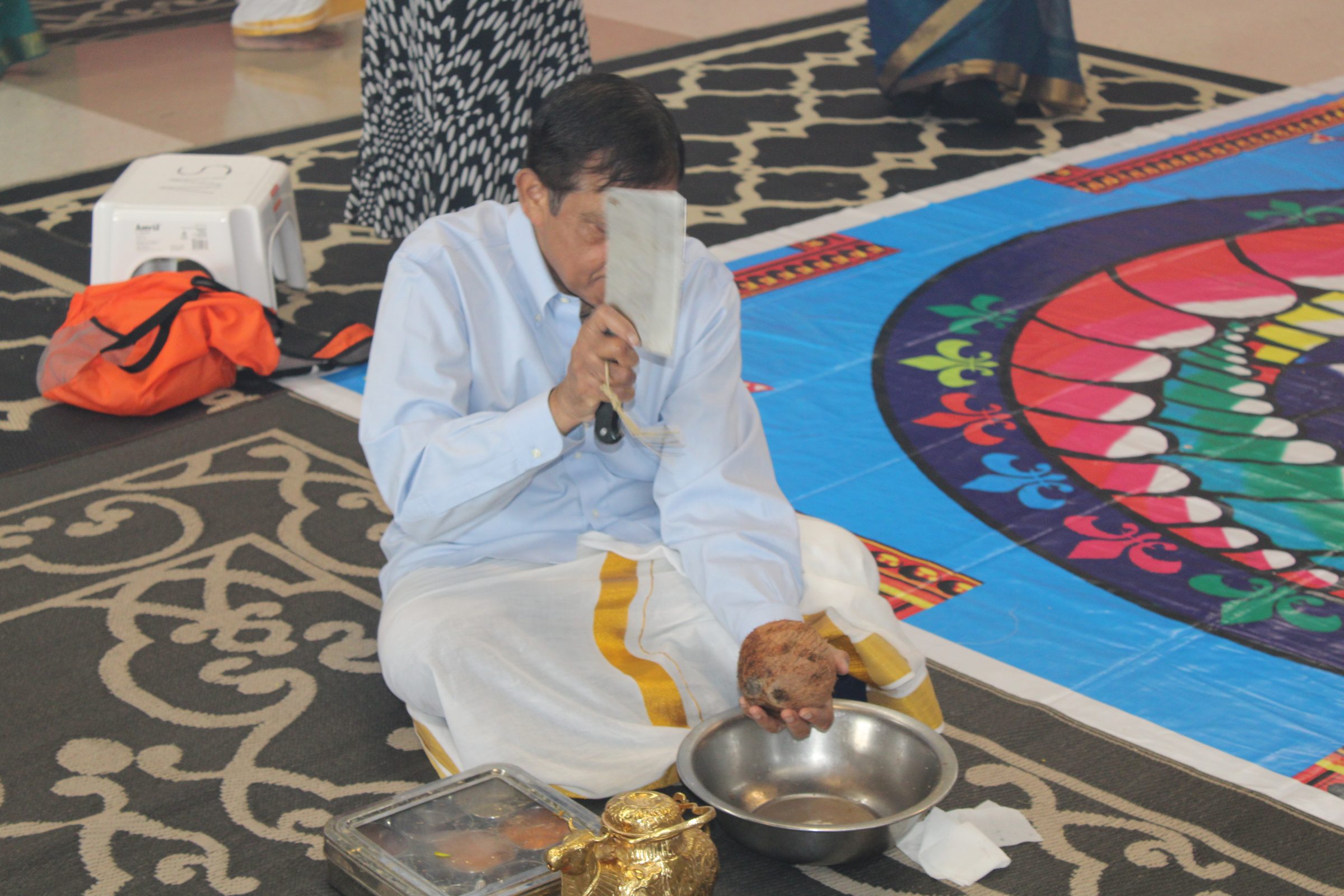 Festival 2024 photo