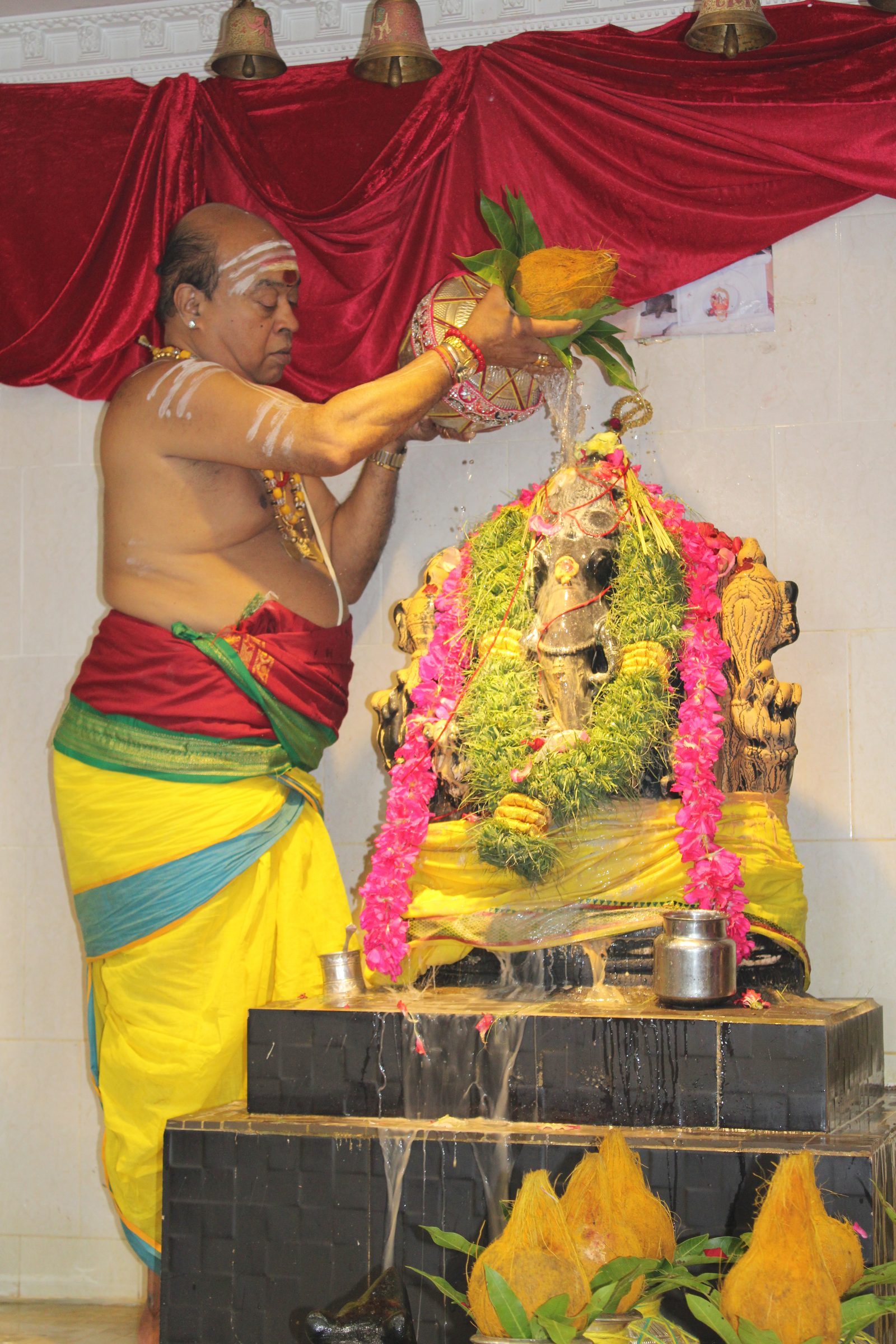 Festival 2024 photo