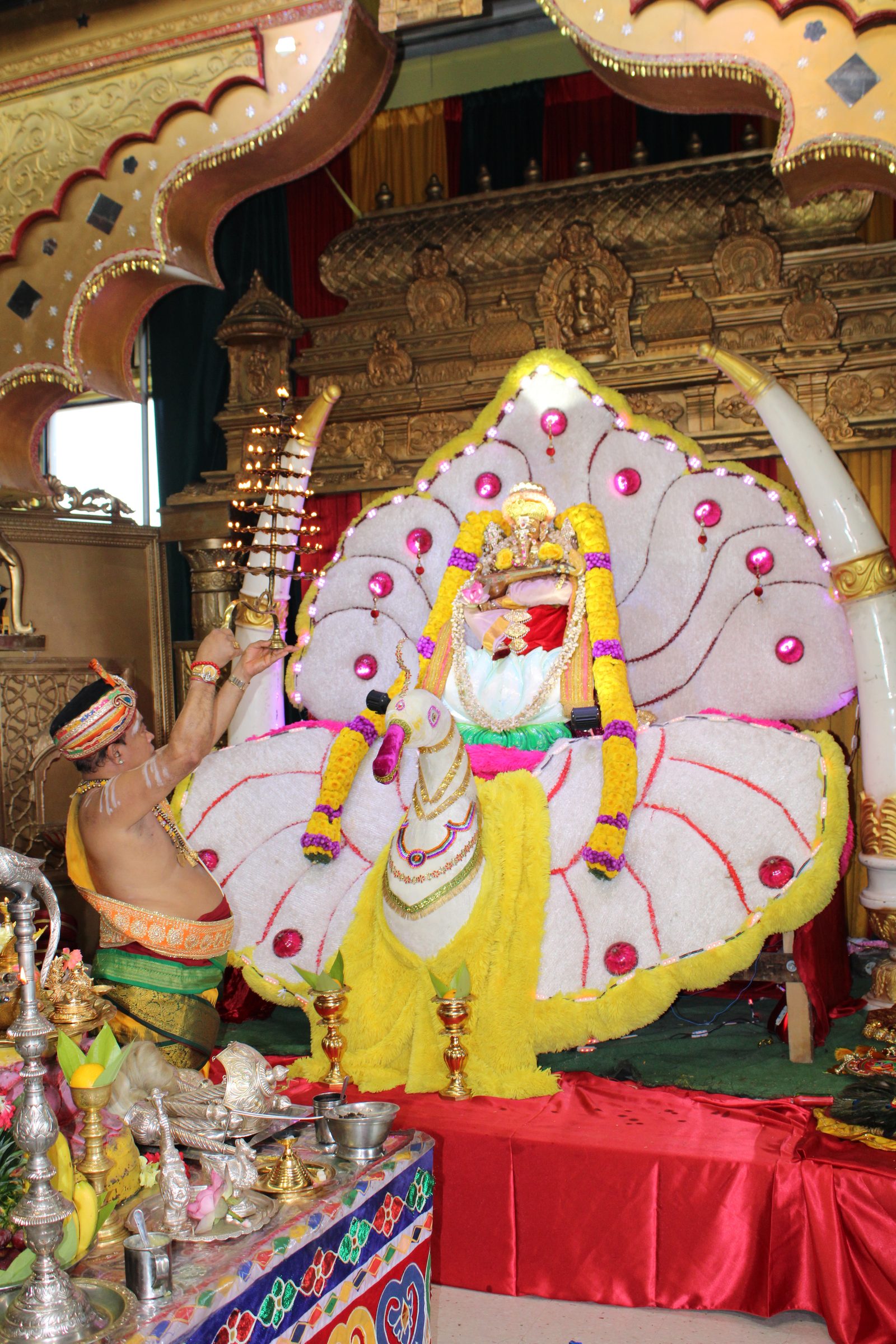 Festival 2024 photo