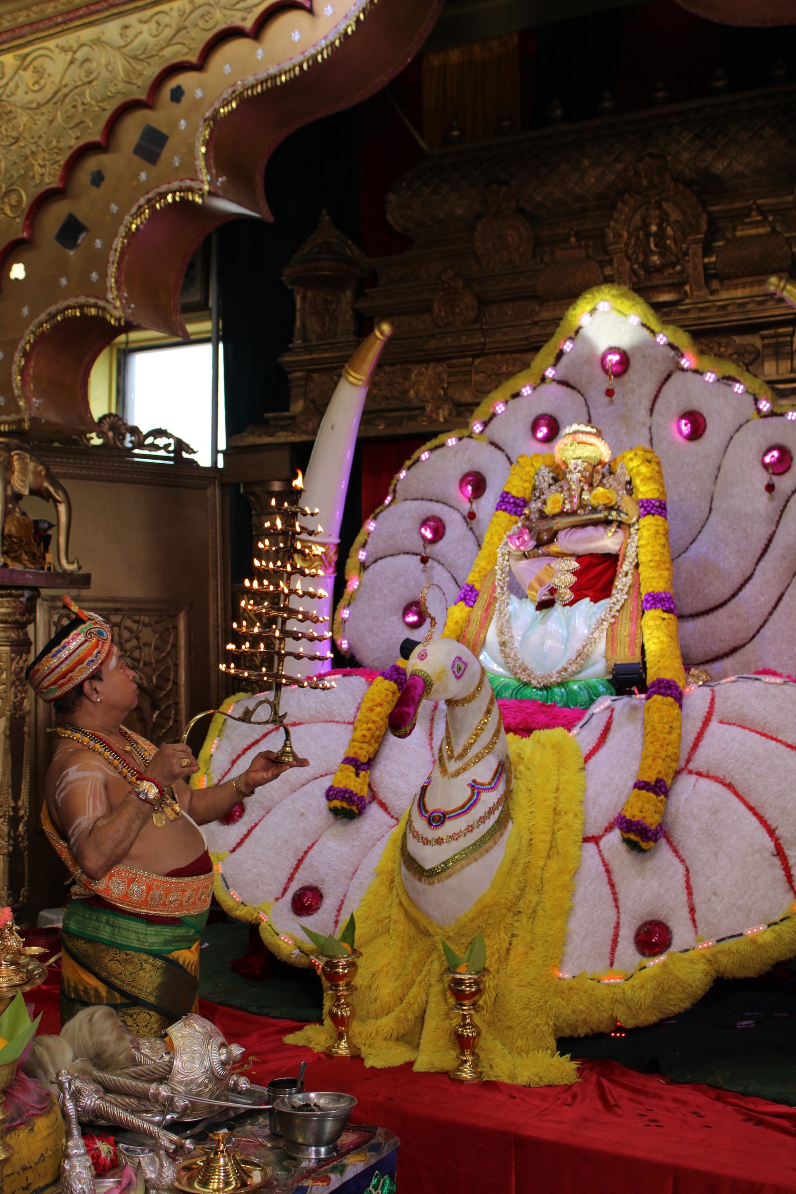 Festival 2024 photo