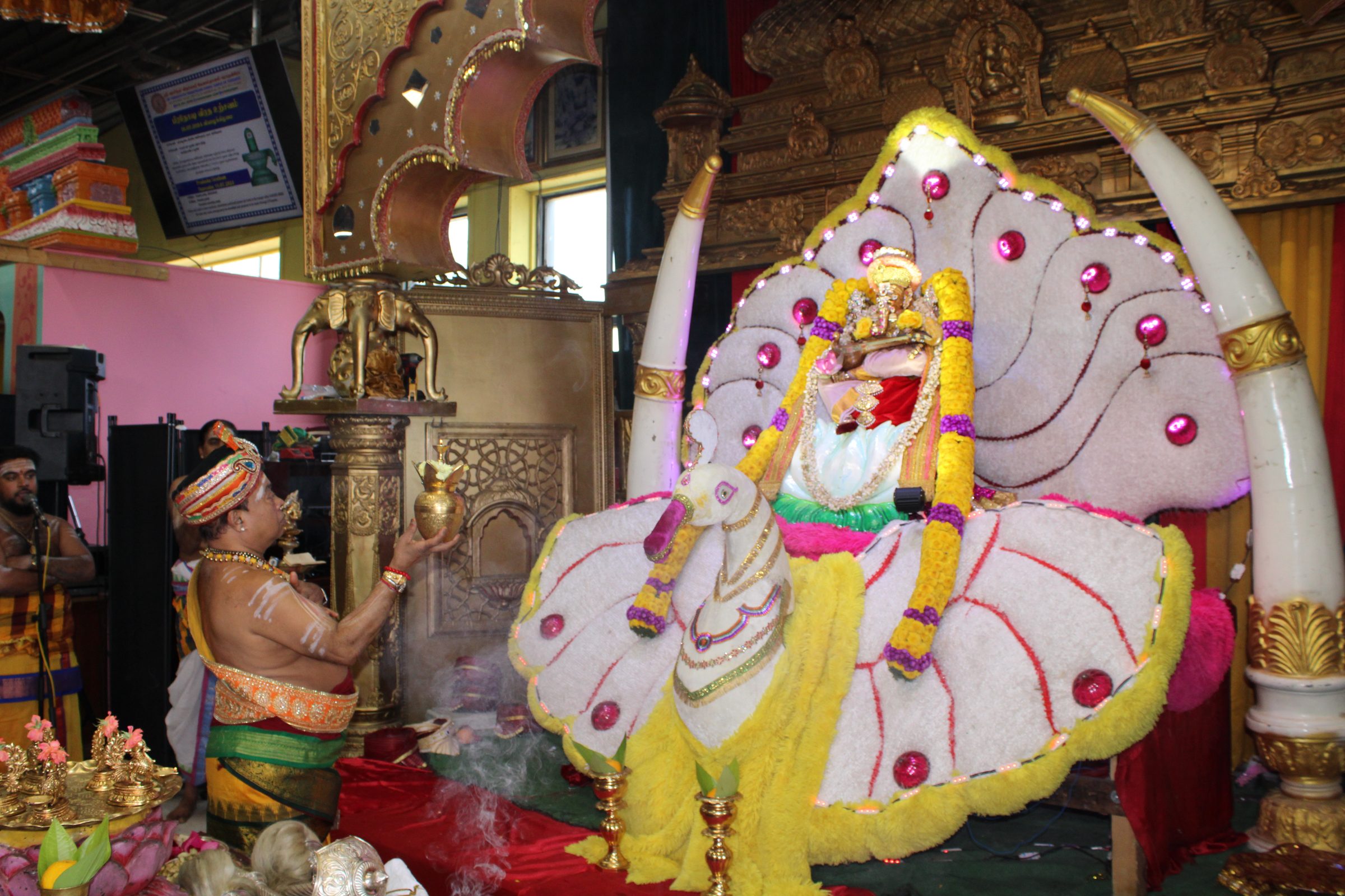 Festival 2024 photo