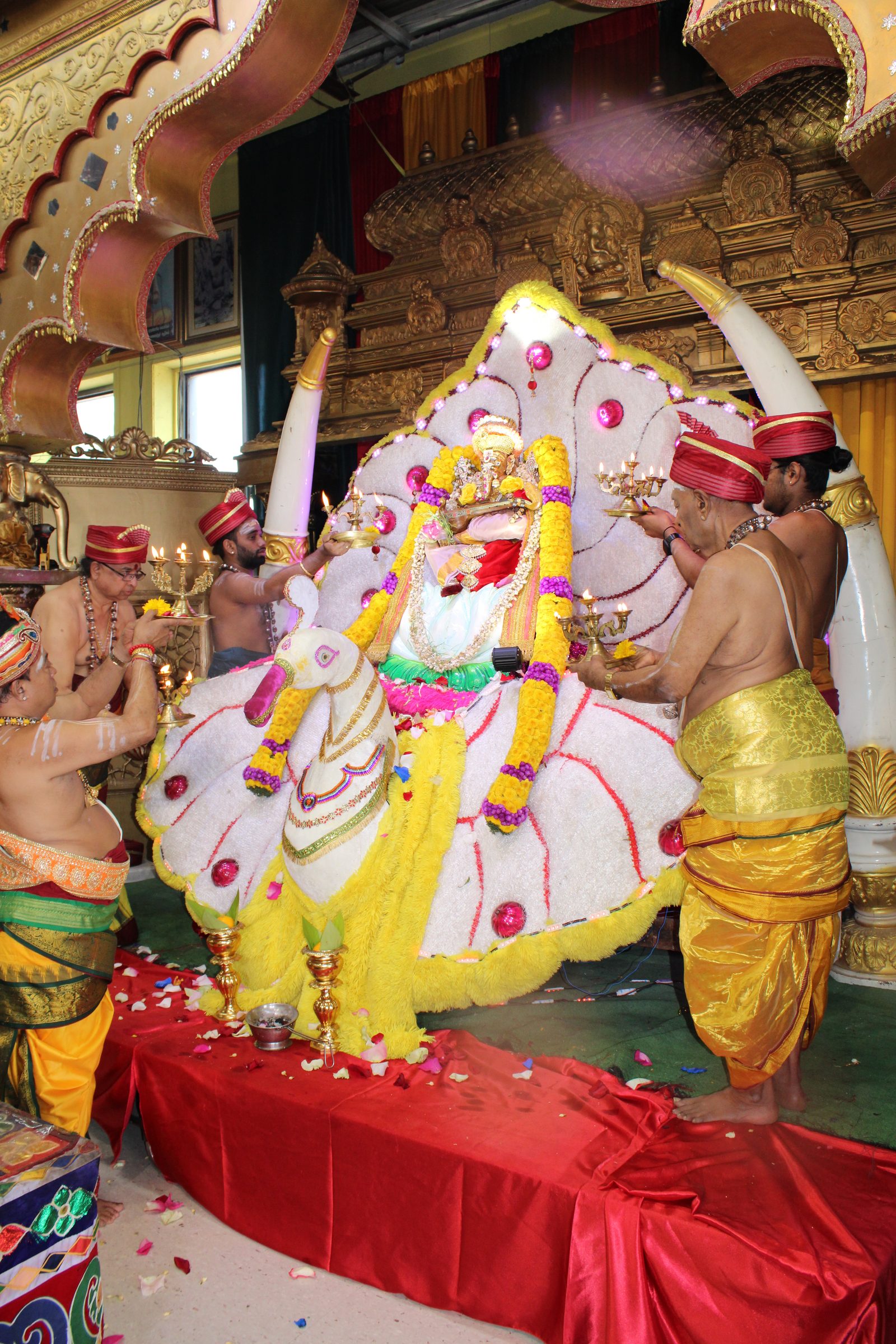 Festival 2024 photo