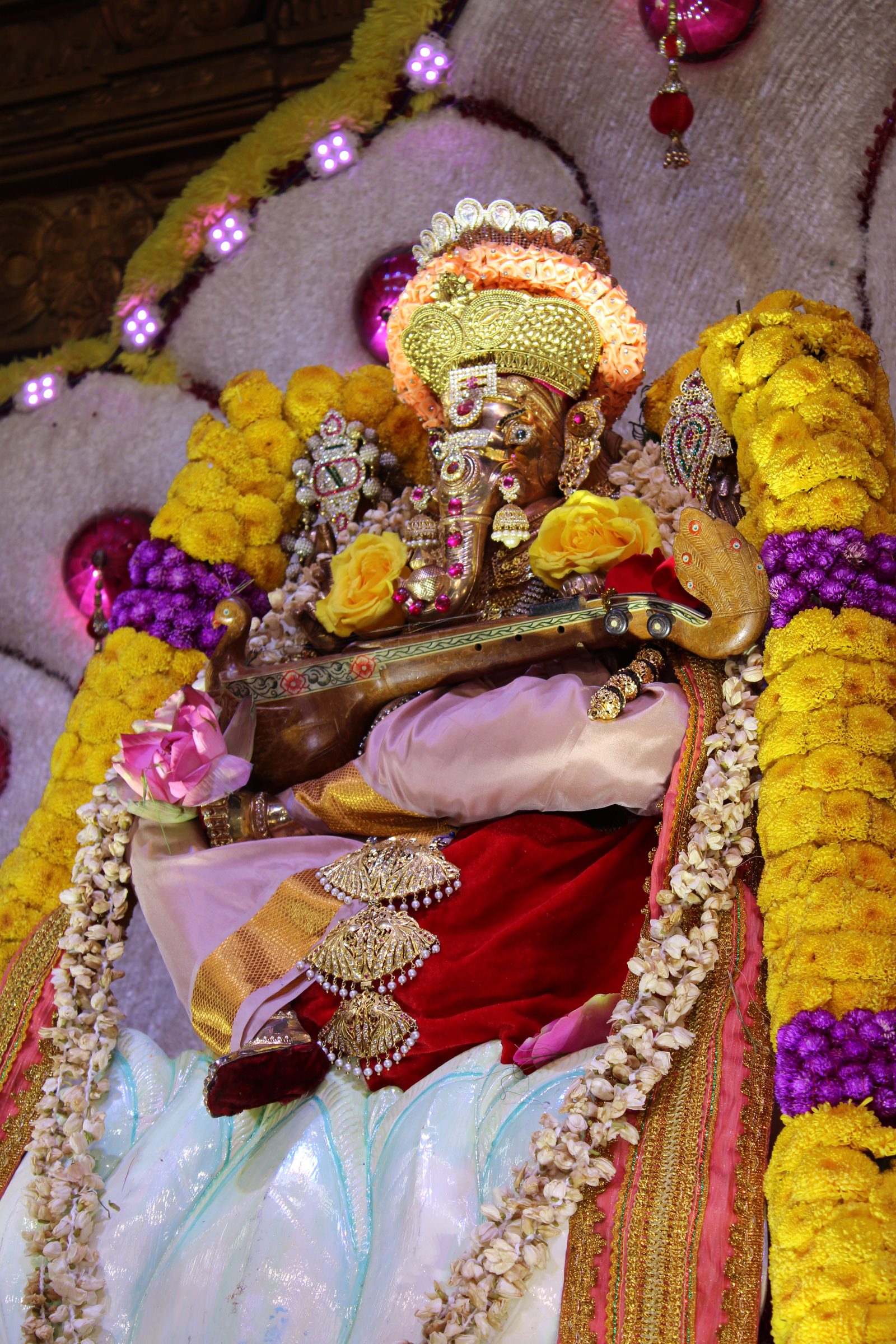Festival 2024 photo