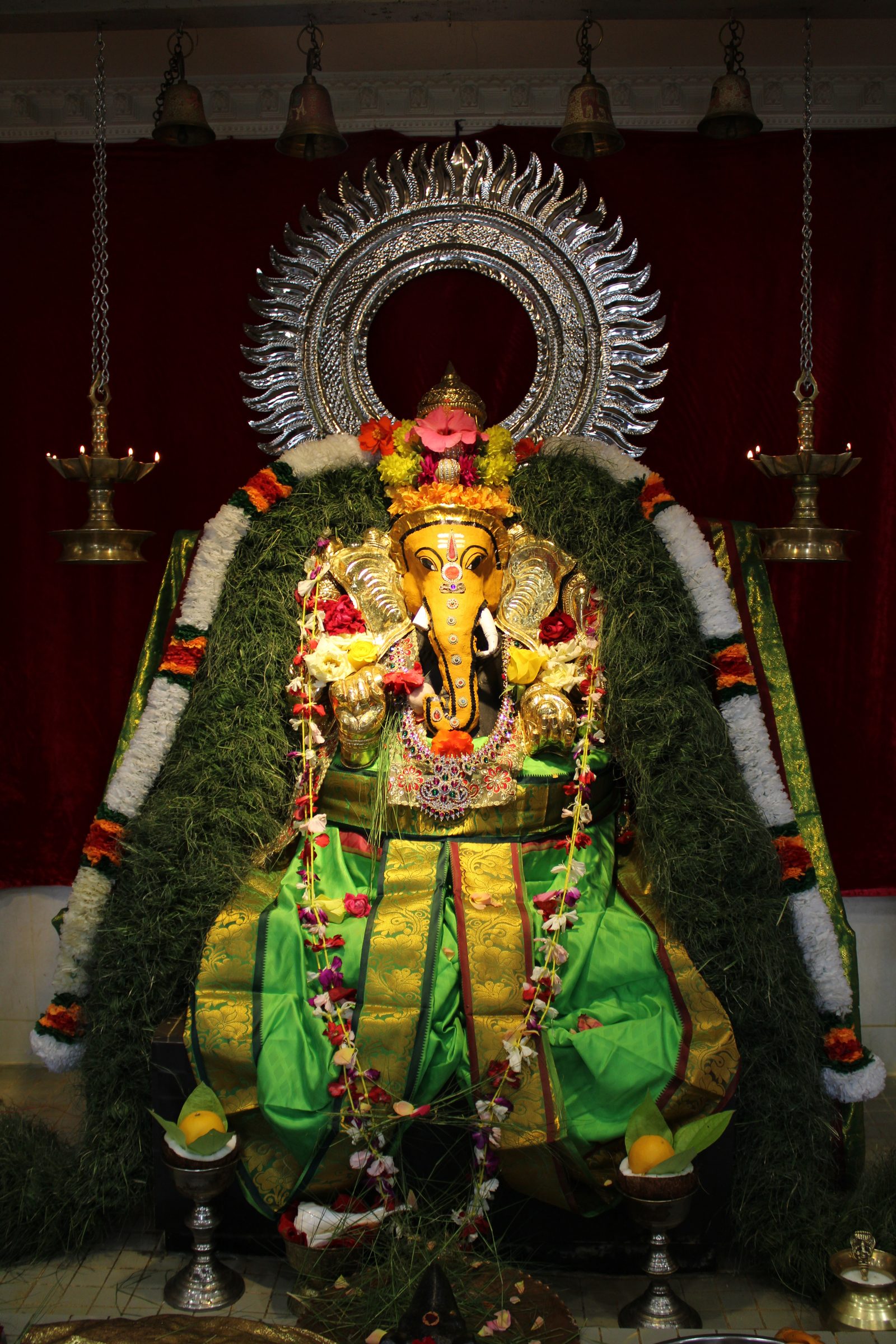 Festival 2024 photo