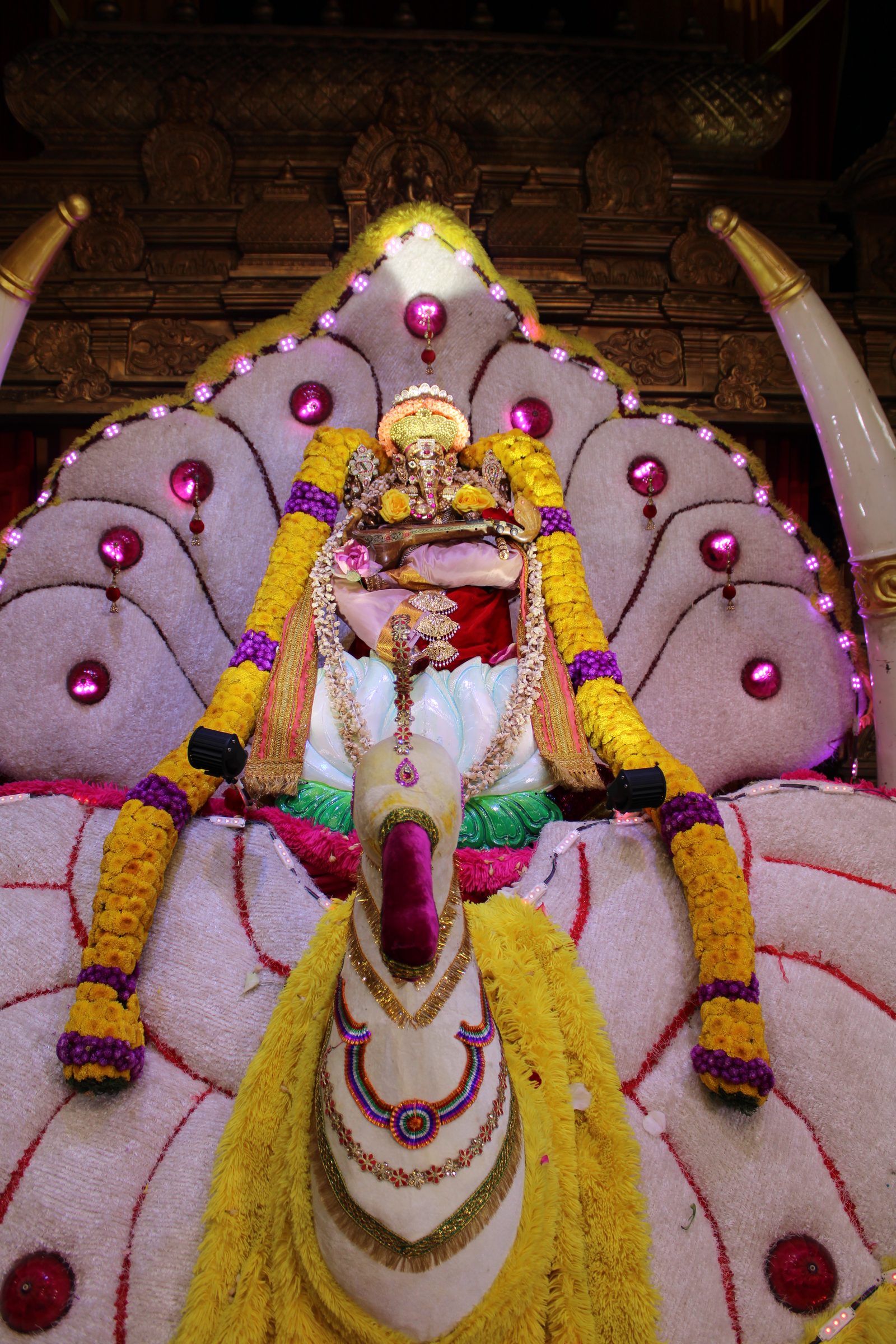 Festival 2024 photo