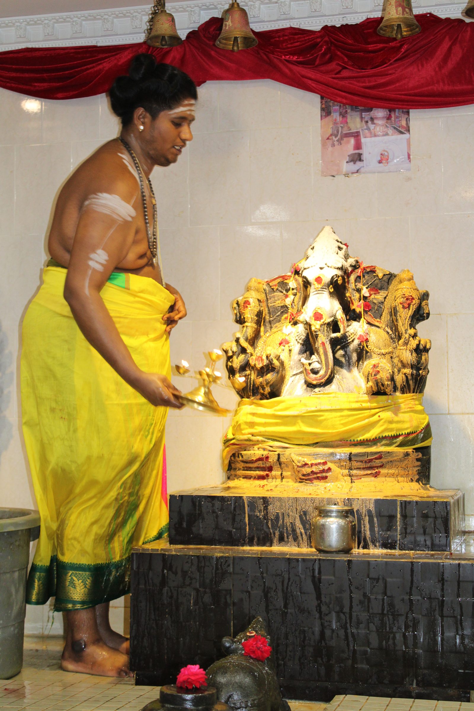 Festival 2024 photo