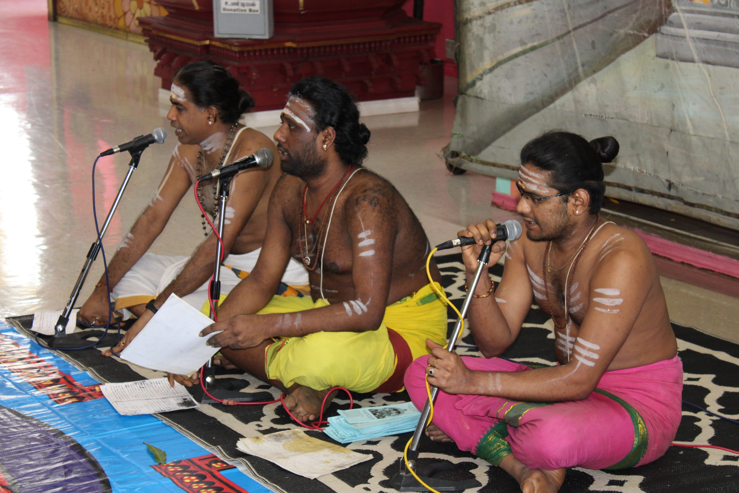 Festival 2024 photo
