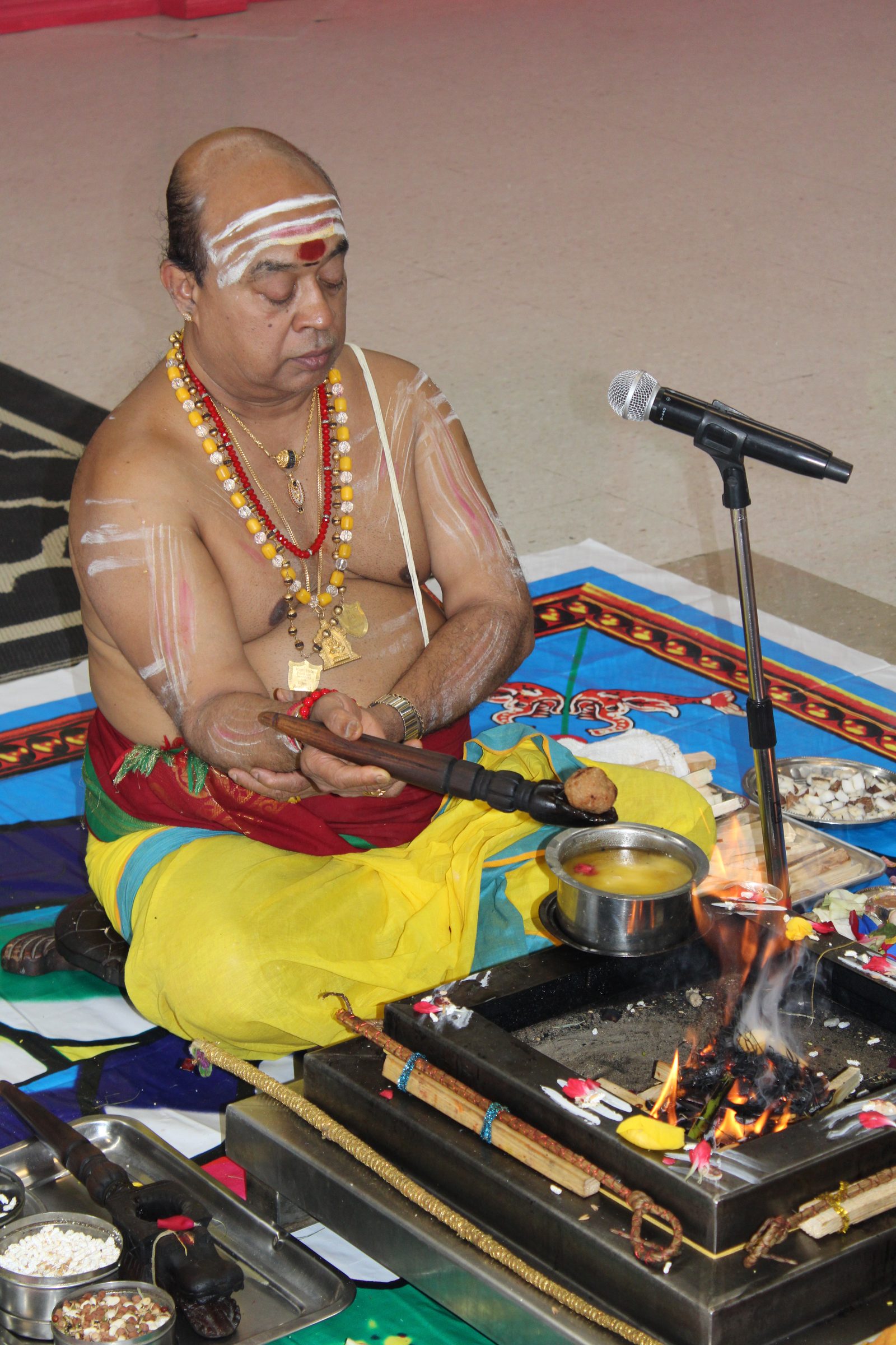 Festival 2024 photo