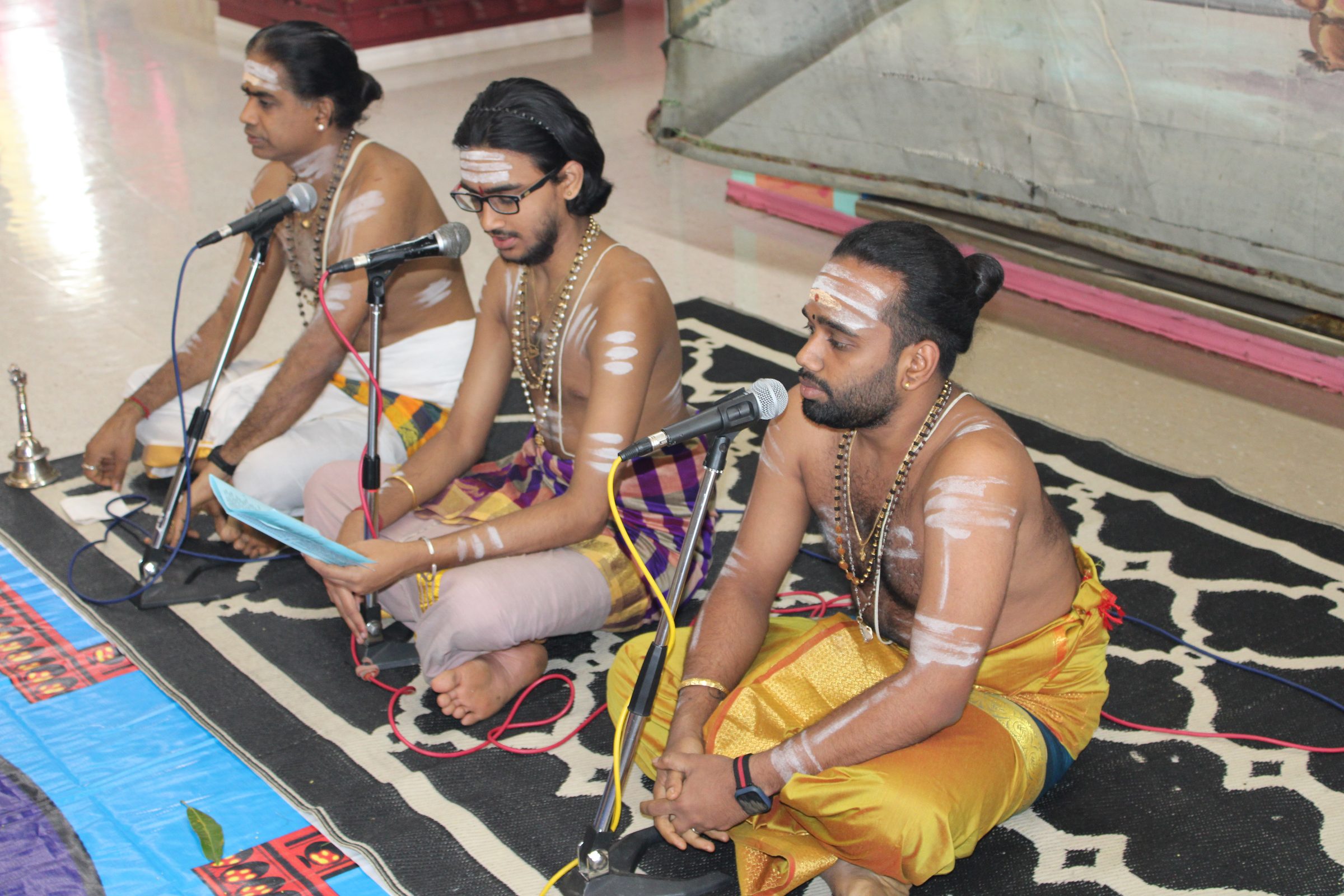 Festival 2024 photo
