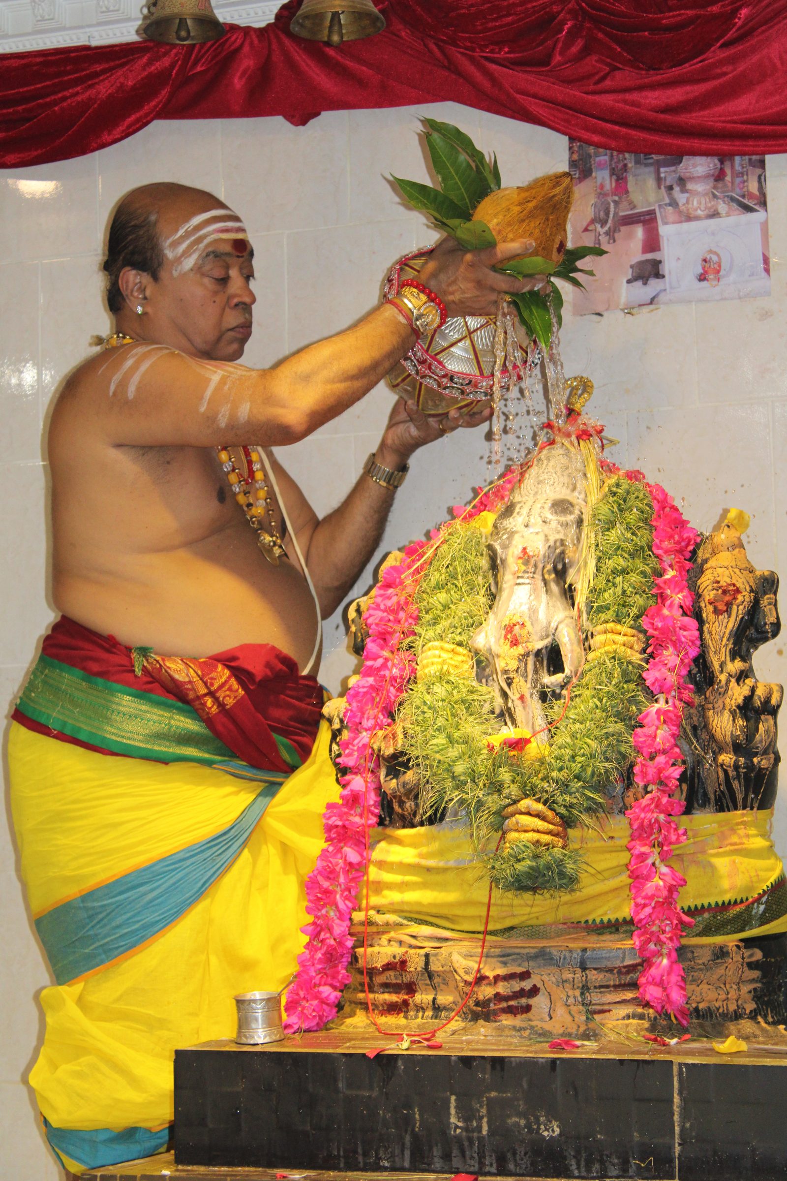 Festival 2024 photo