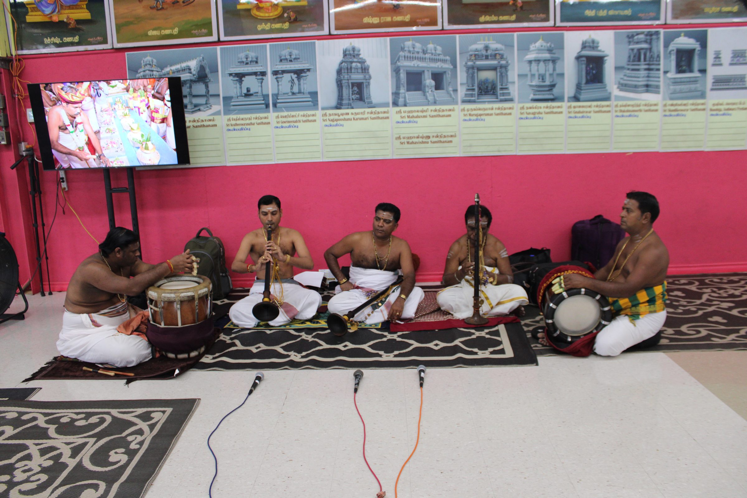 Festival 2024 photo