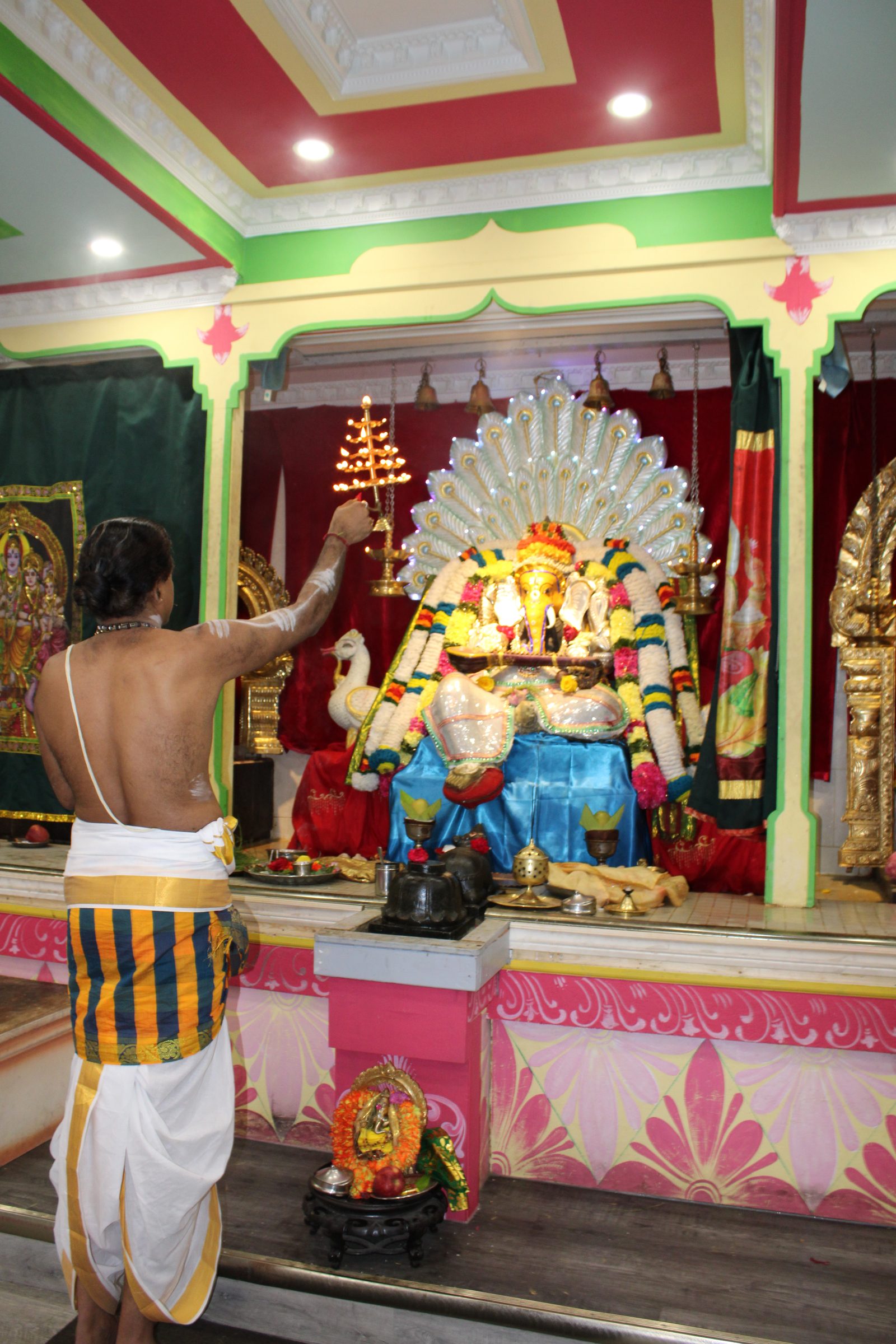 Festival 2024 photo