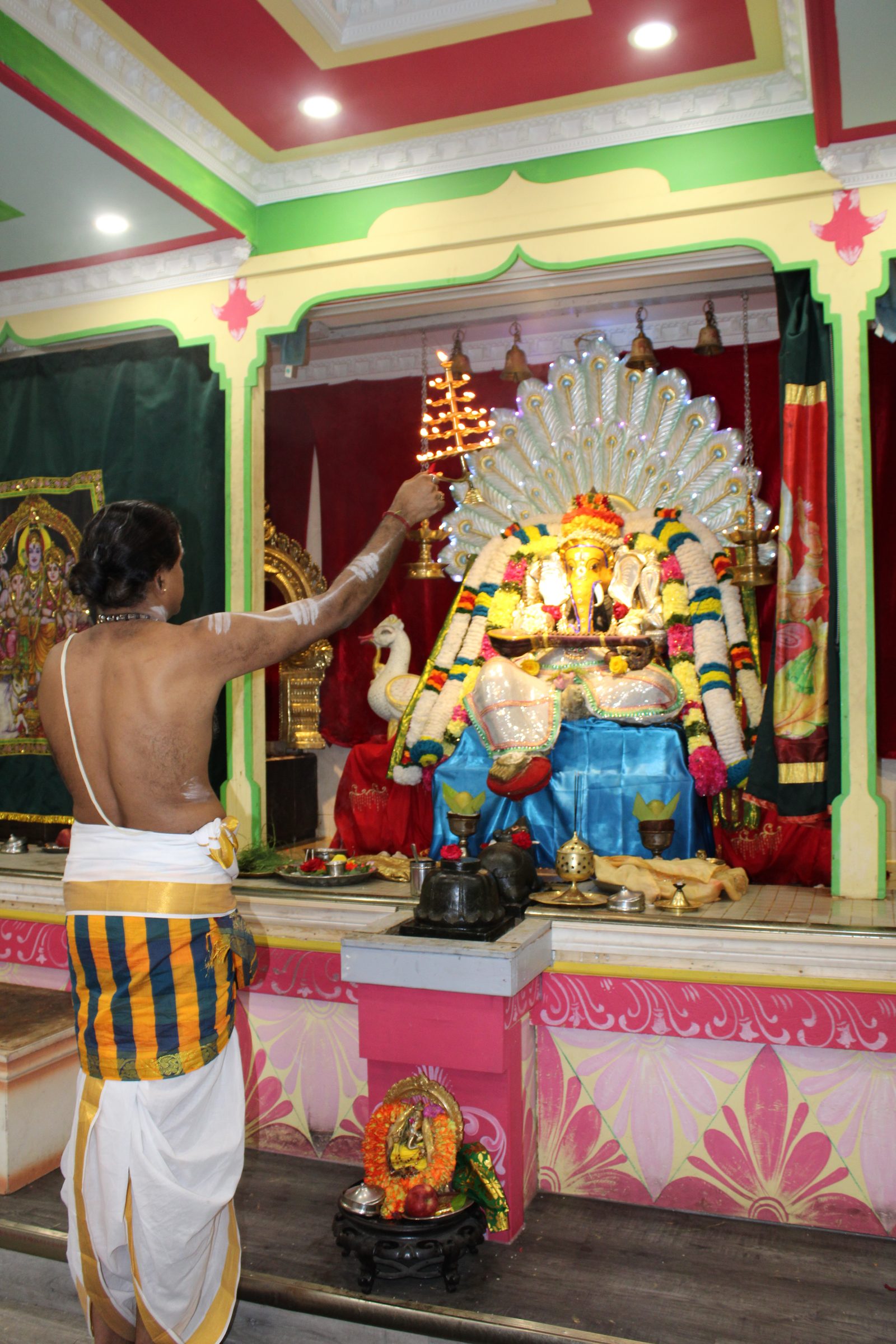 Festival 2024 photo