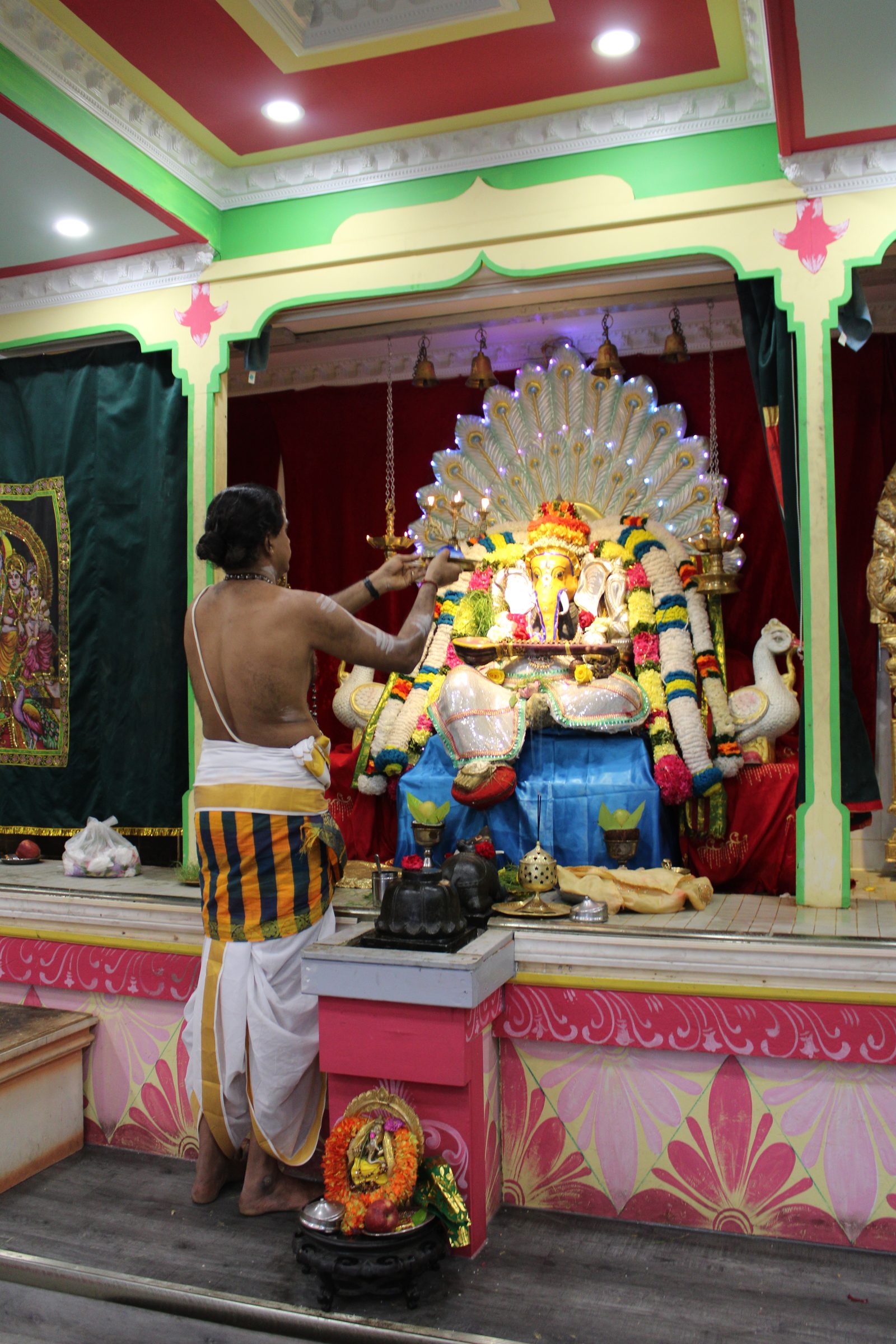 Festival 2024 photo