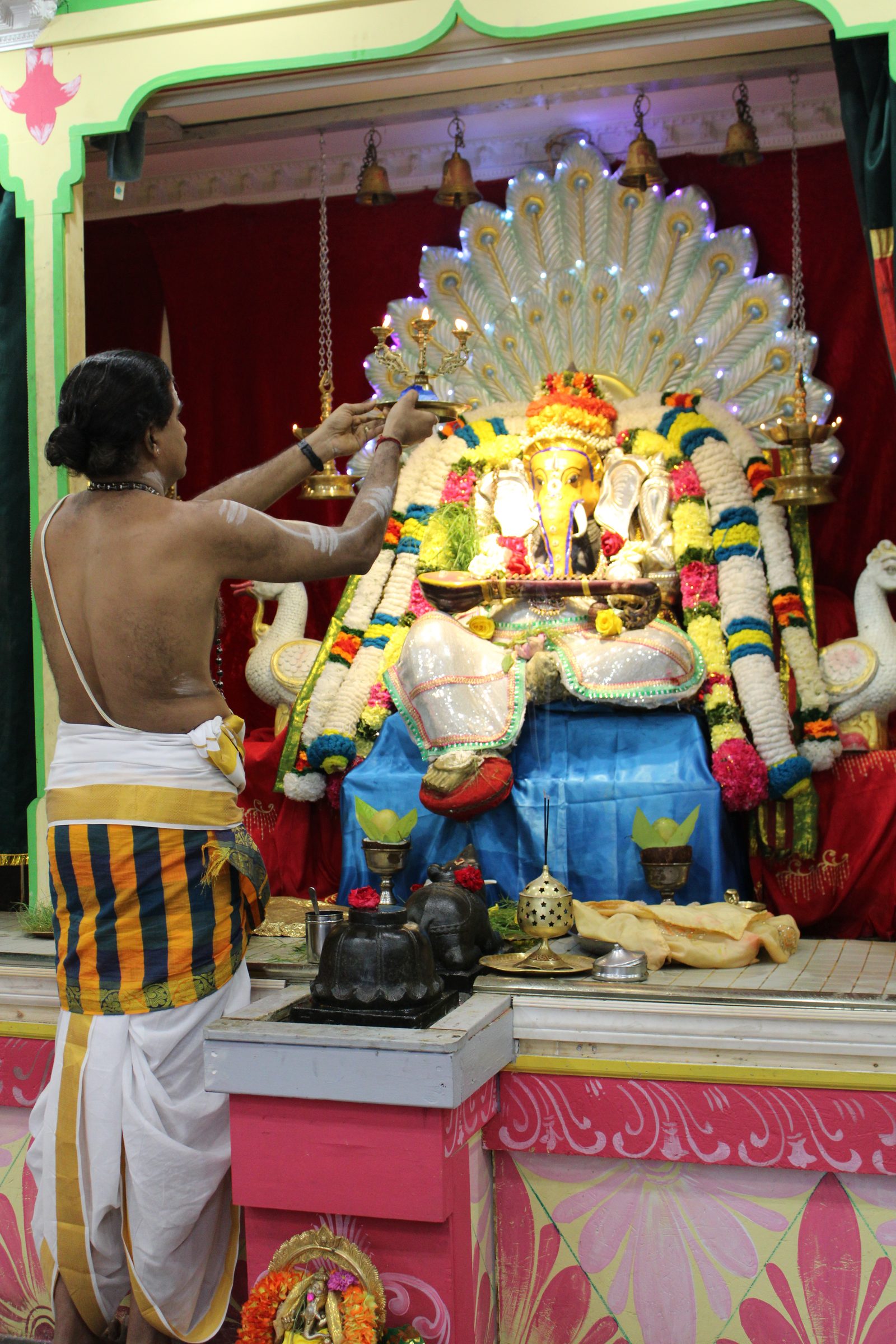 Festival 2024 photo