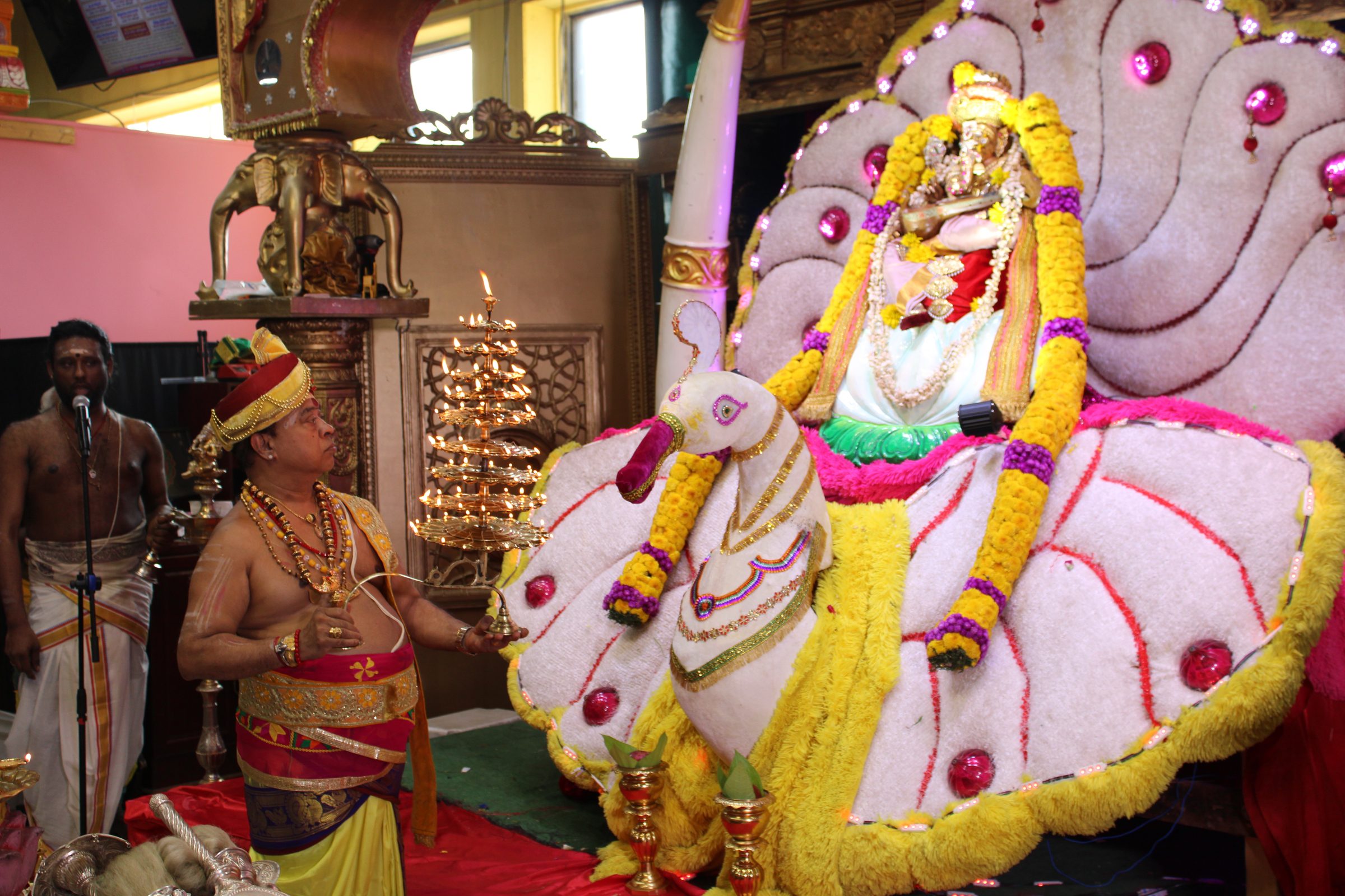 Festival 2024 photo