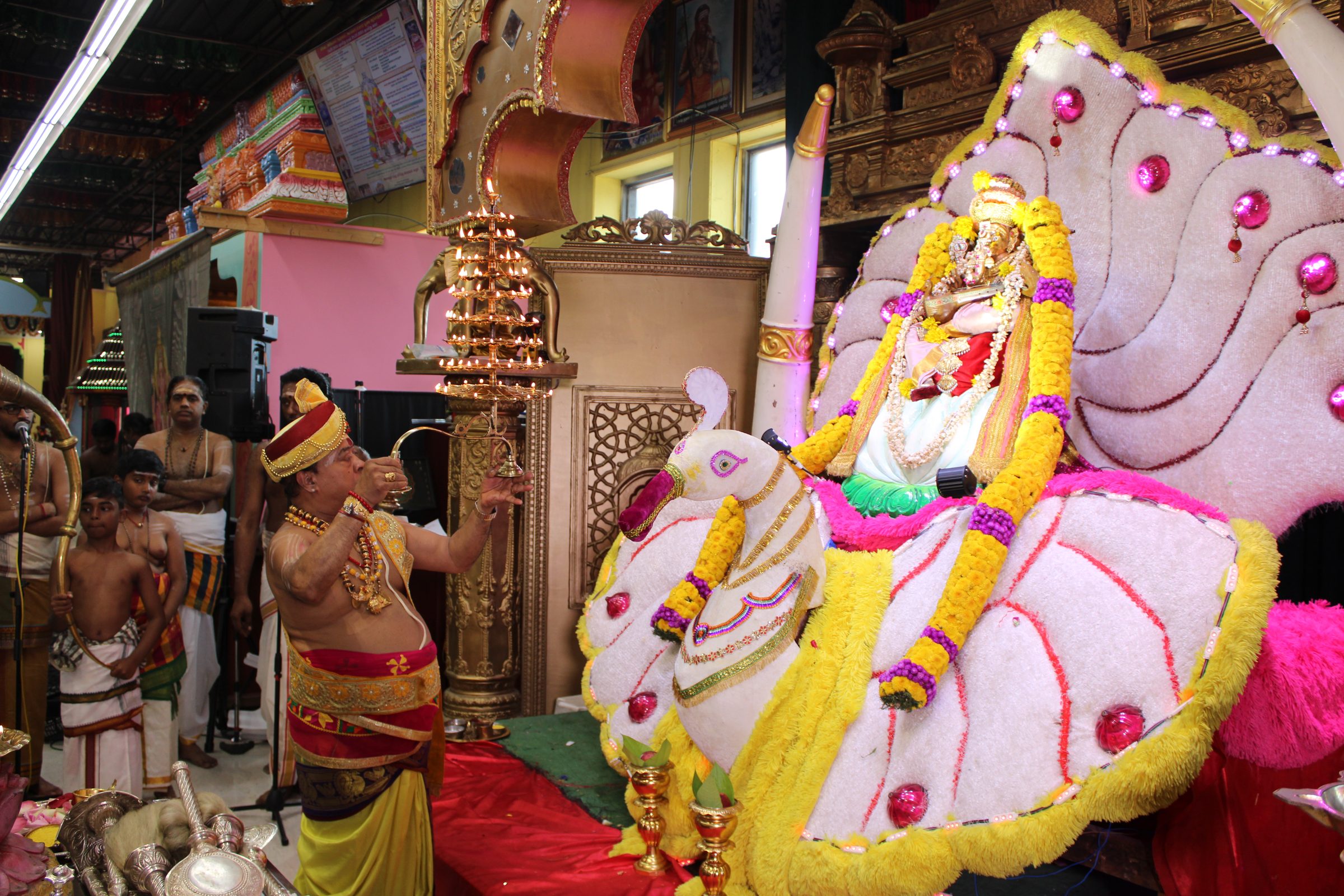 Festival 2024 photo