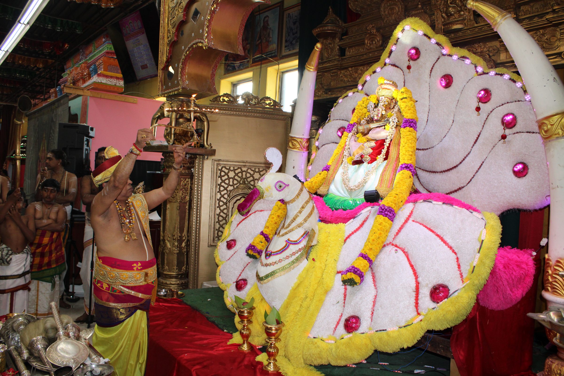 Festival 2024 photo